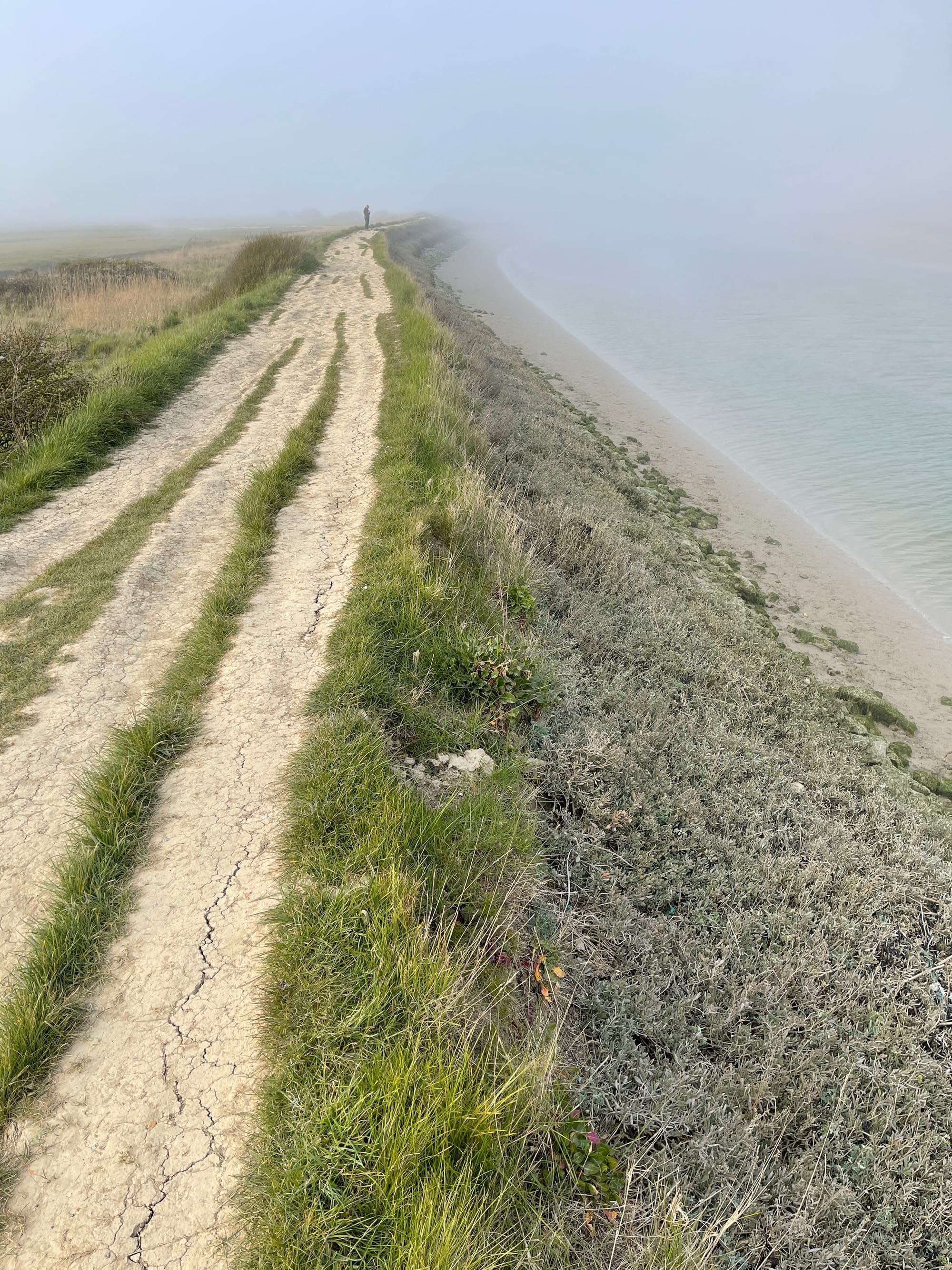 Back from Beyond. Cuckmere, East Sussex