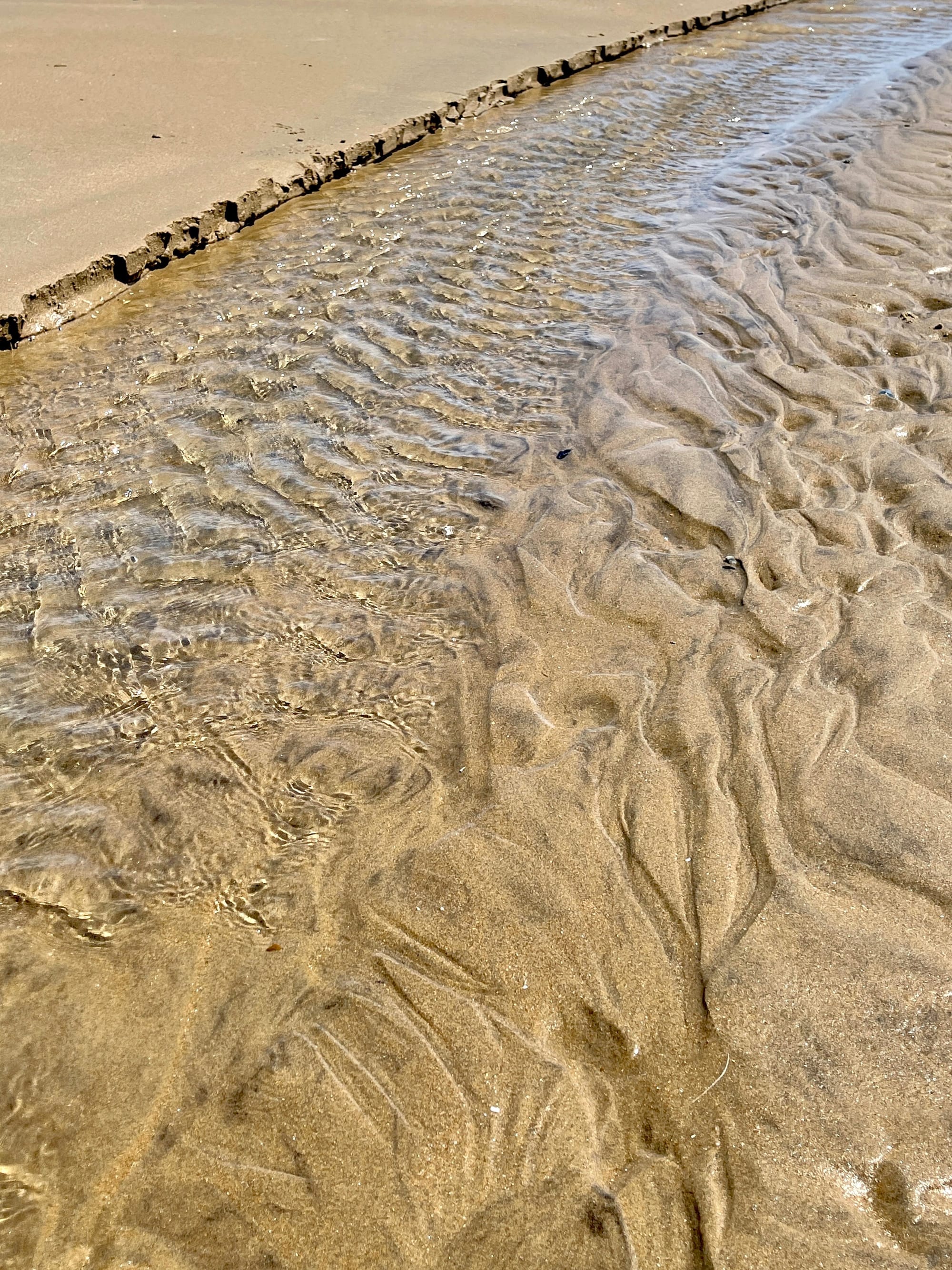 Overflow. Pett Level, East Sussex