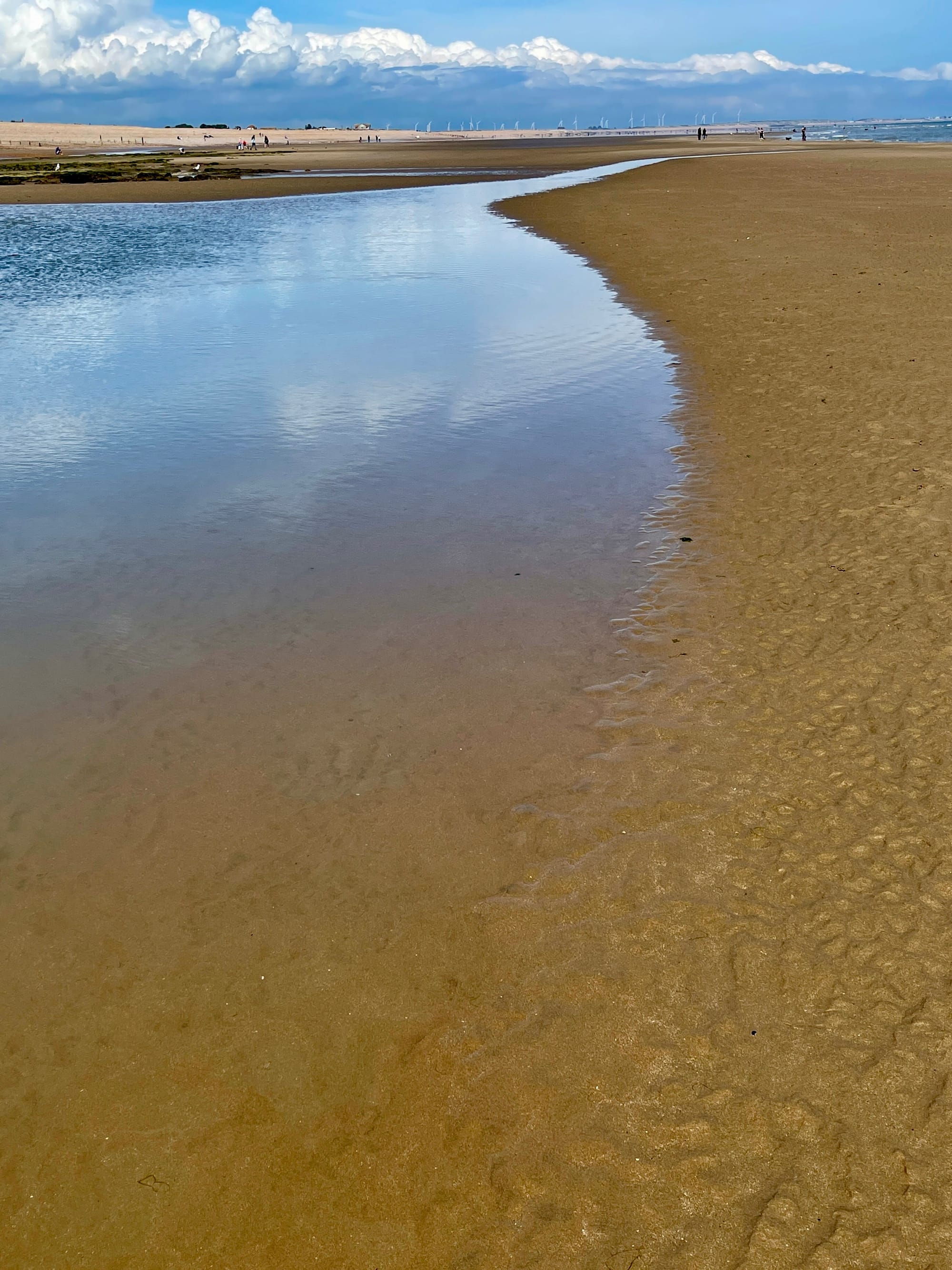 Low Tide Run Off. Pett Level, East Sussex