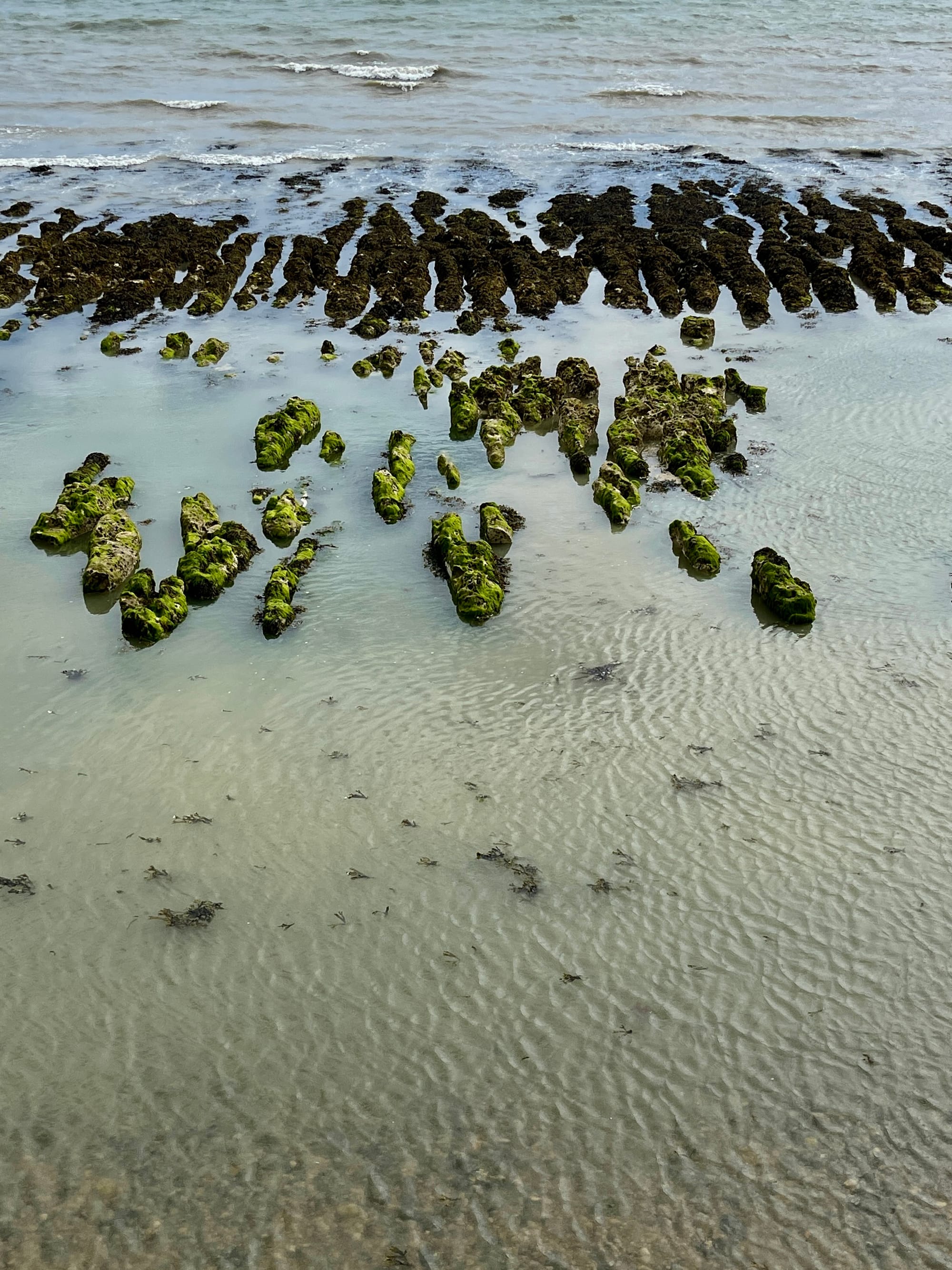 Seashore. Rottingdean, East Sussex