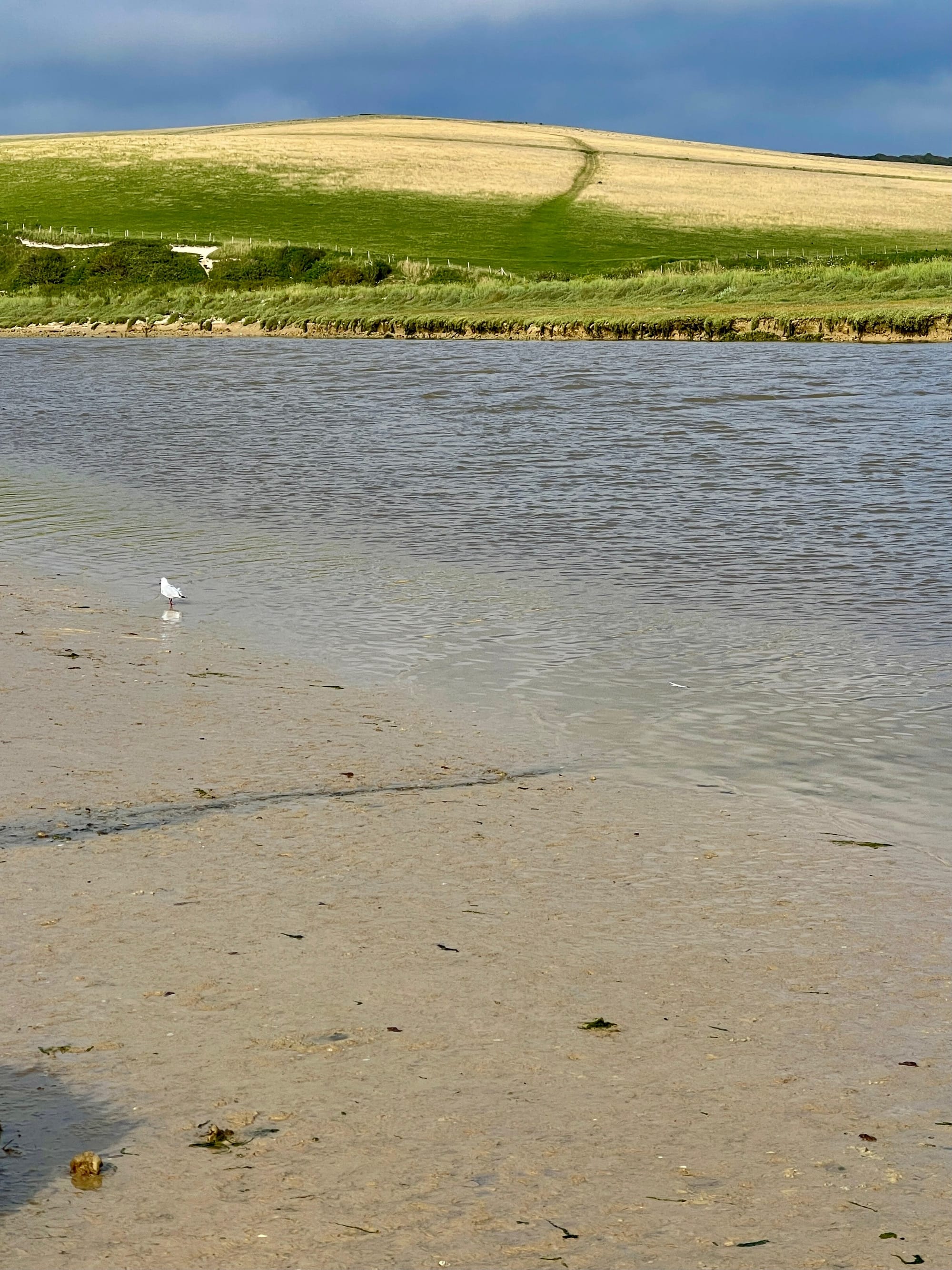 Cuckmere River, East Sussex