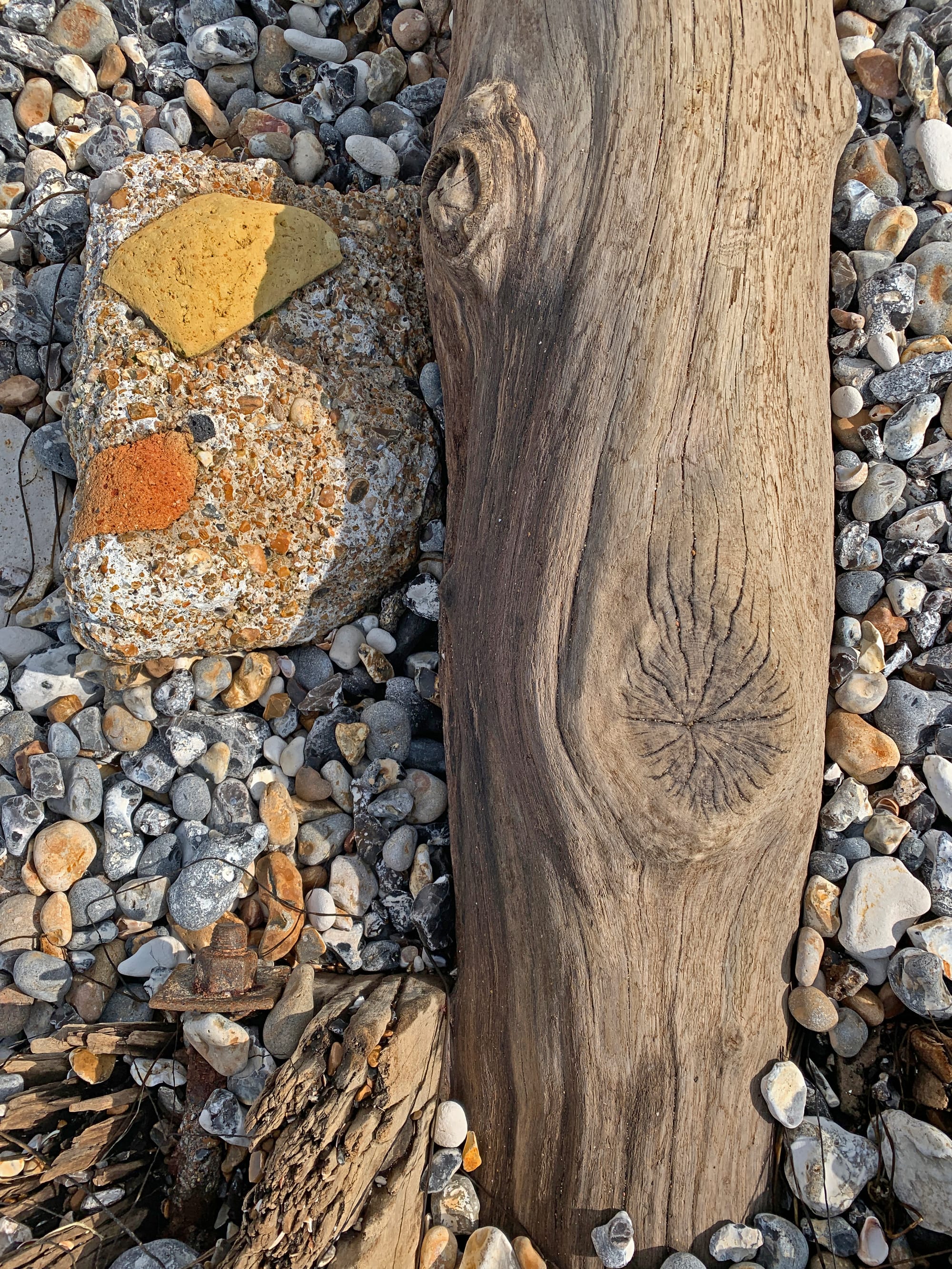 Left overs. Cuckmere Beach, East Sussex