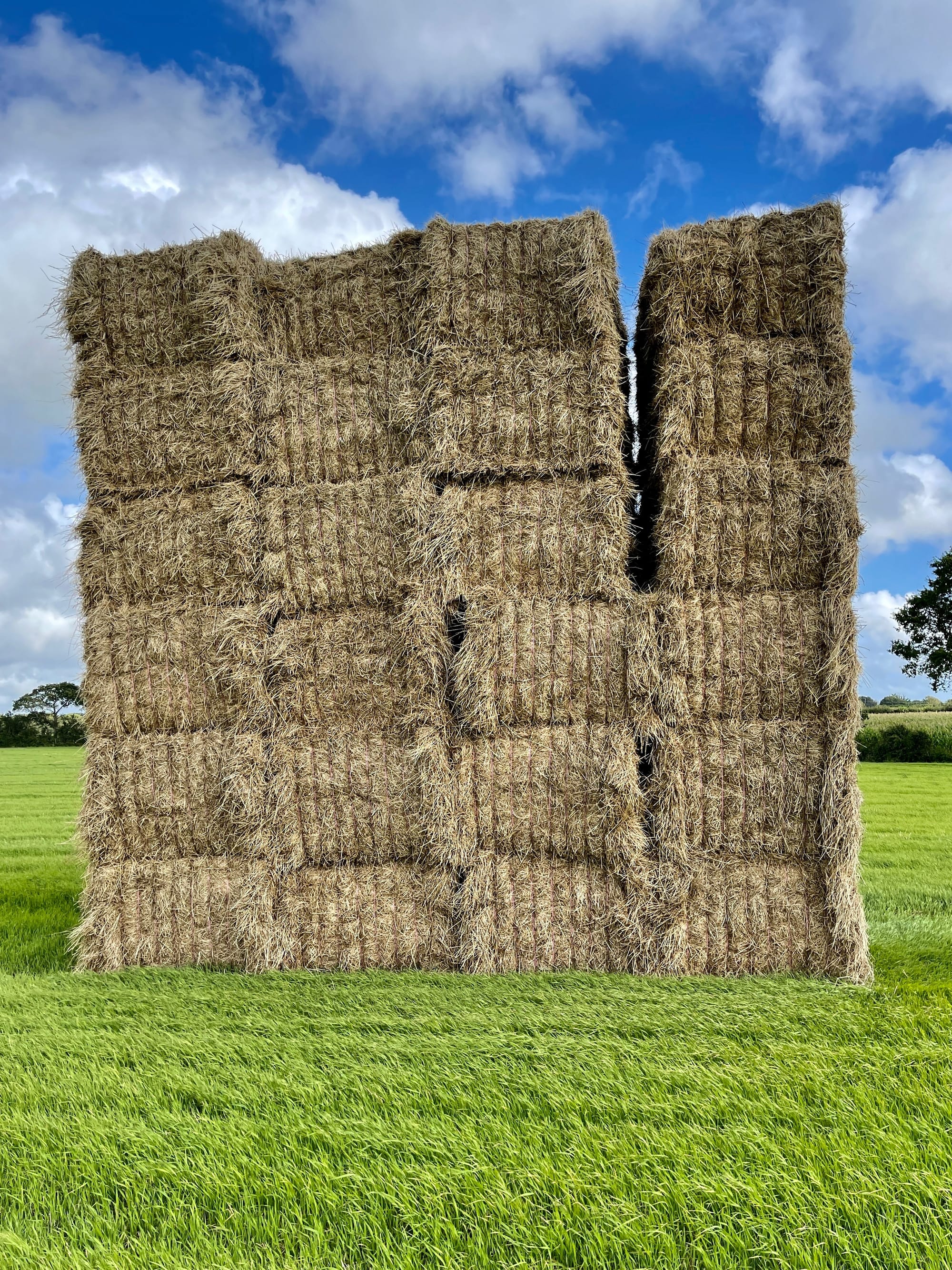 High Stack. Ripe, East Sussex