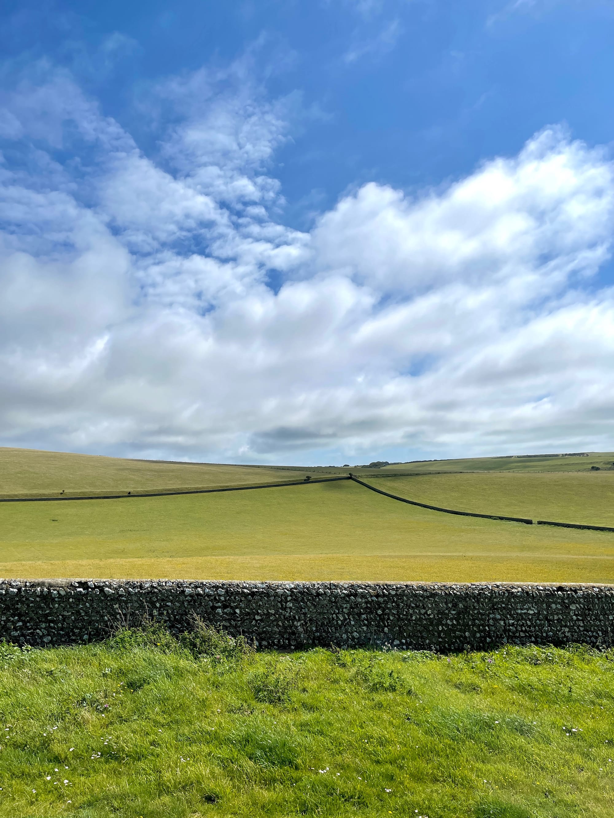 Fields of East Dean, East Sussex