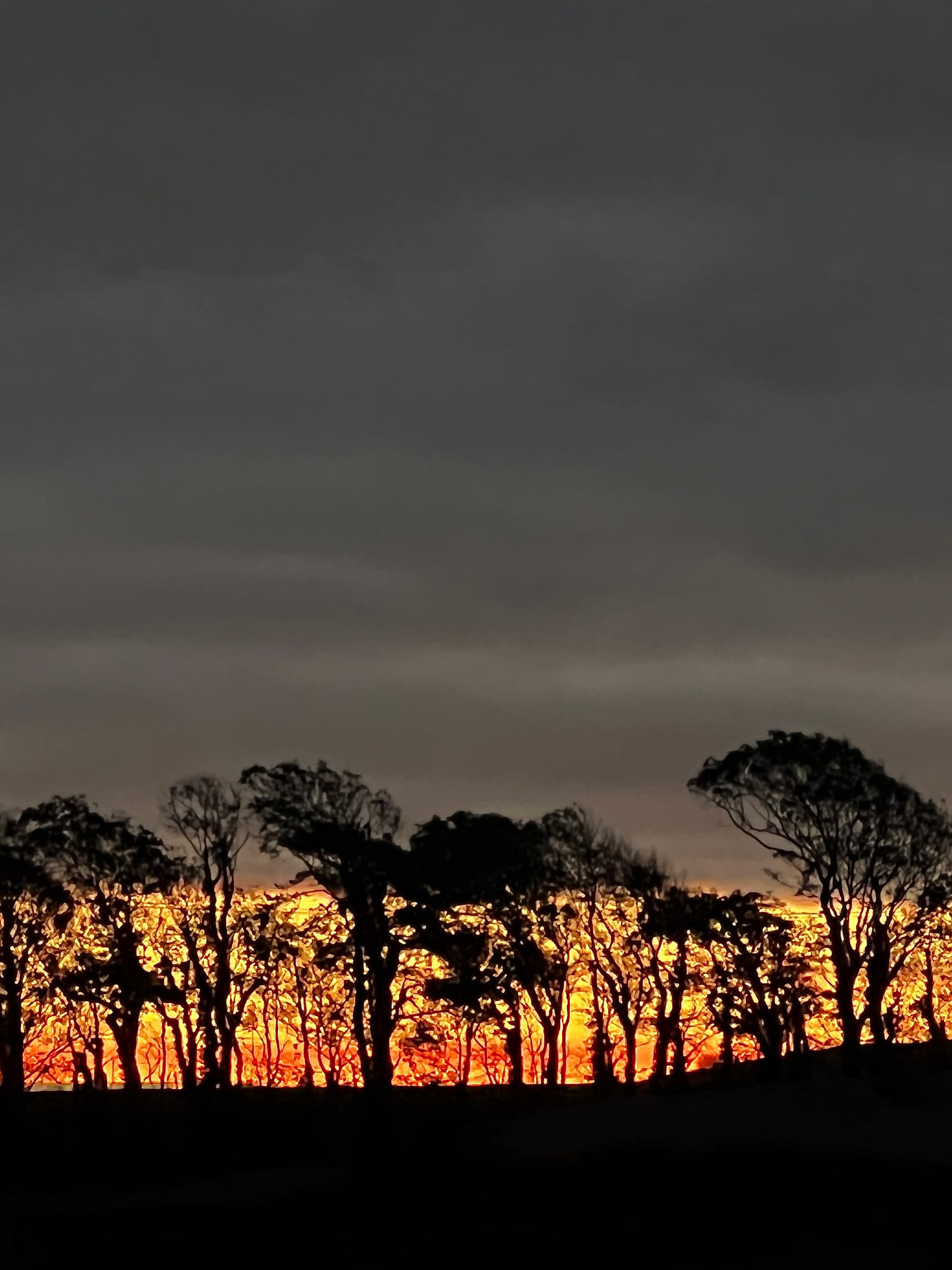 Break of Dawn. Beddingham, East Sussex