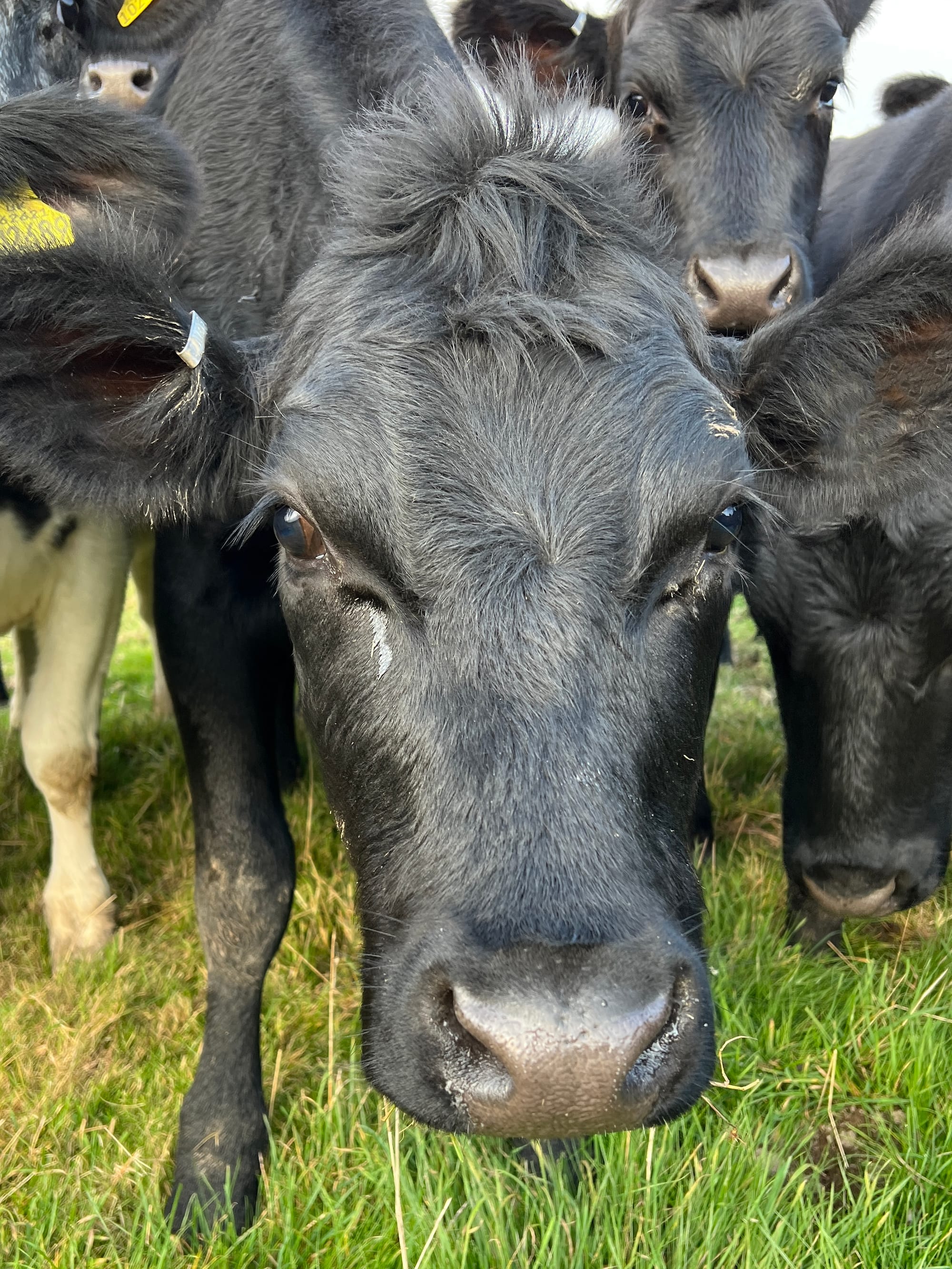 What's up? Beddingham, East Sussex