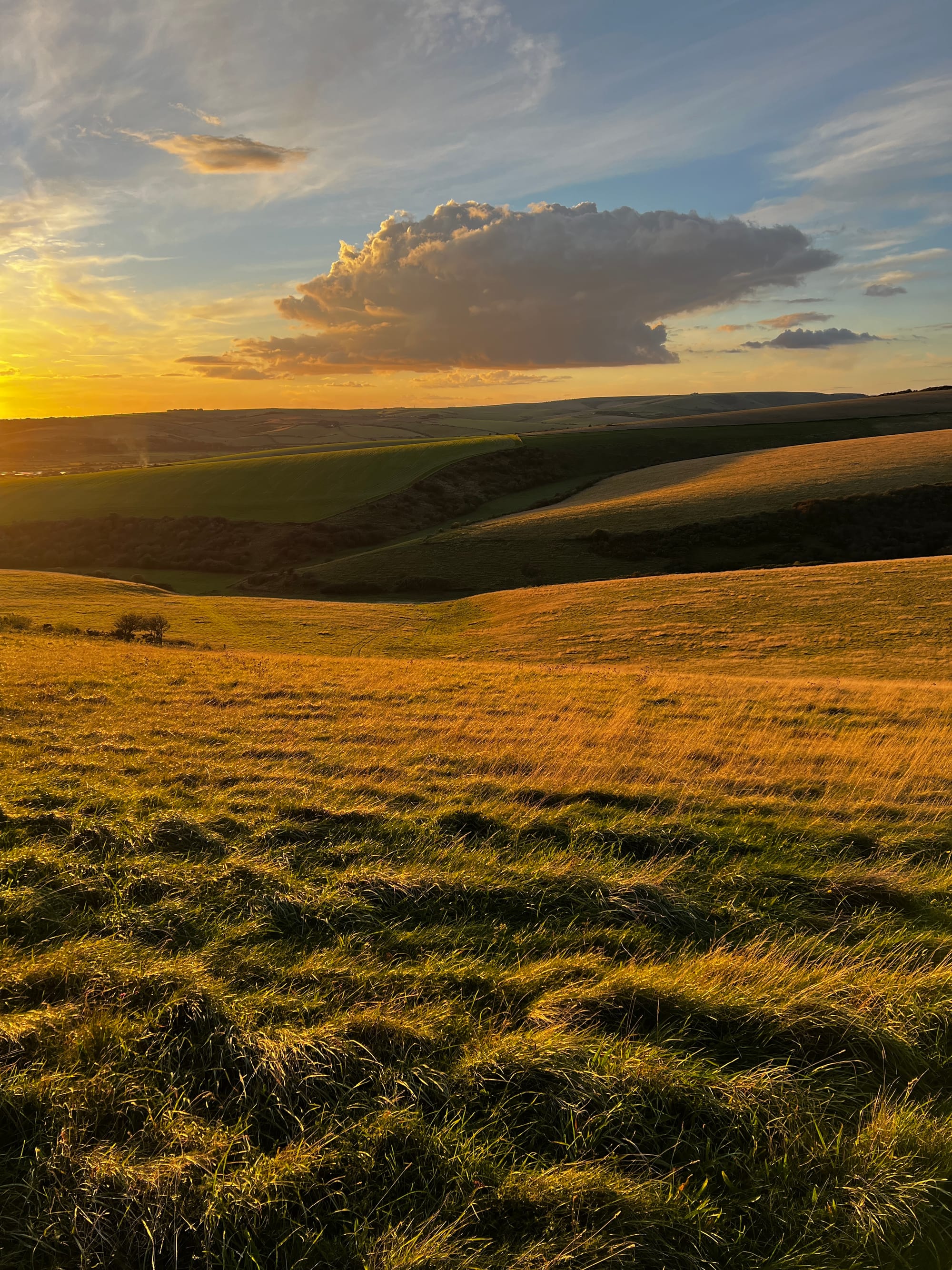 Evening Light. Beddingham, East Sussex