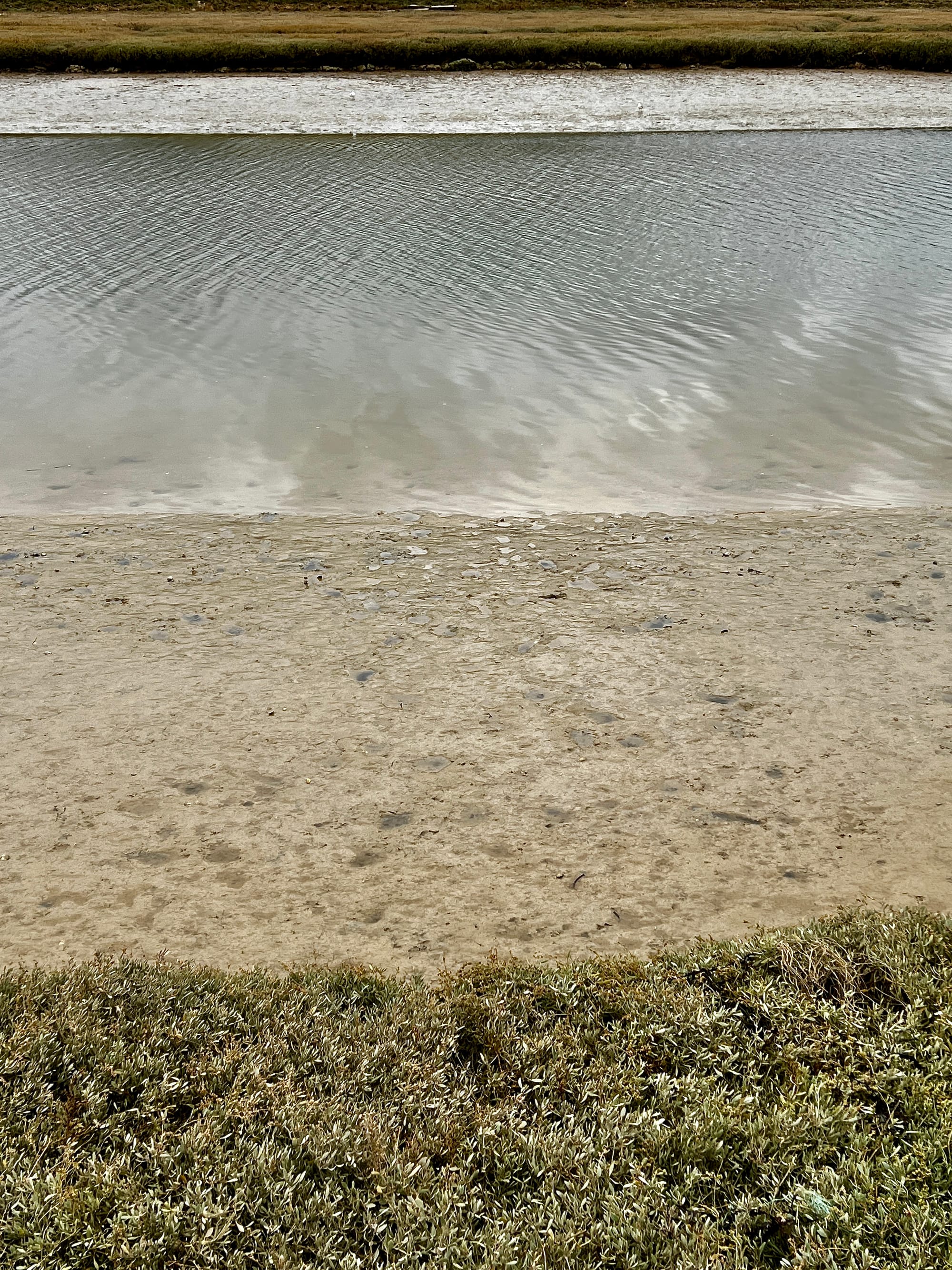 Cuckmere Triptych 1