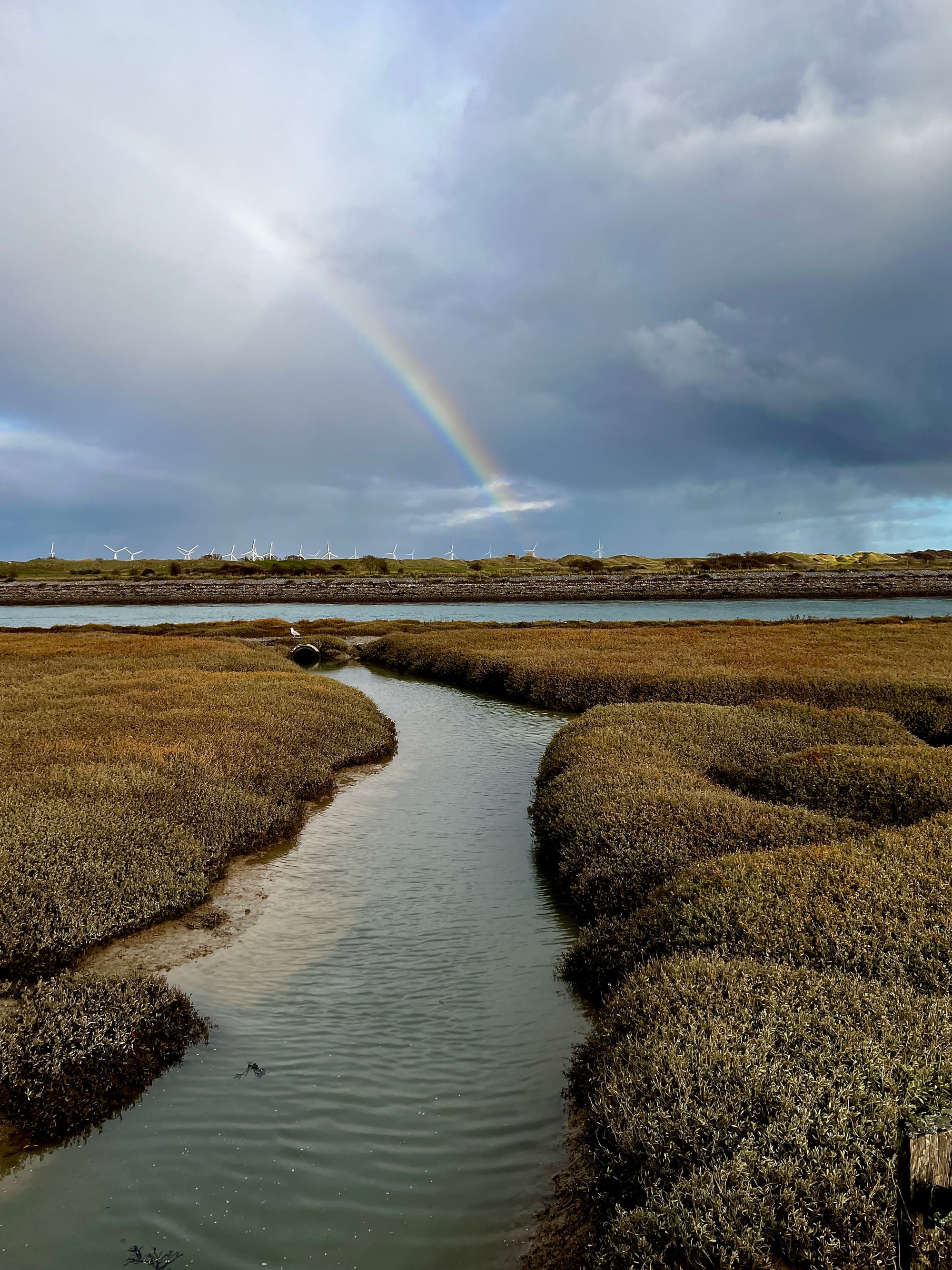 River Rother Rainbow. Rye, East Sussex