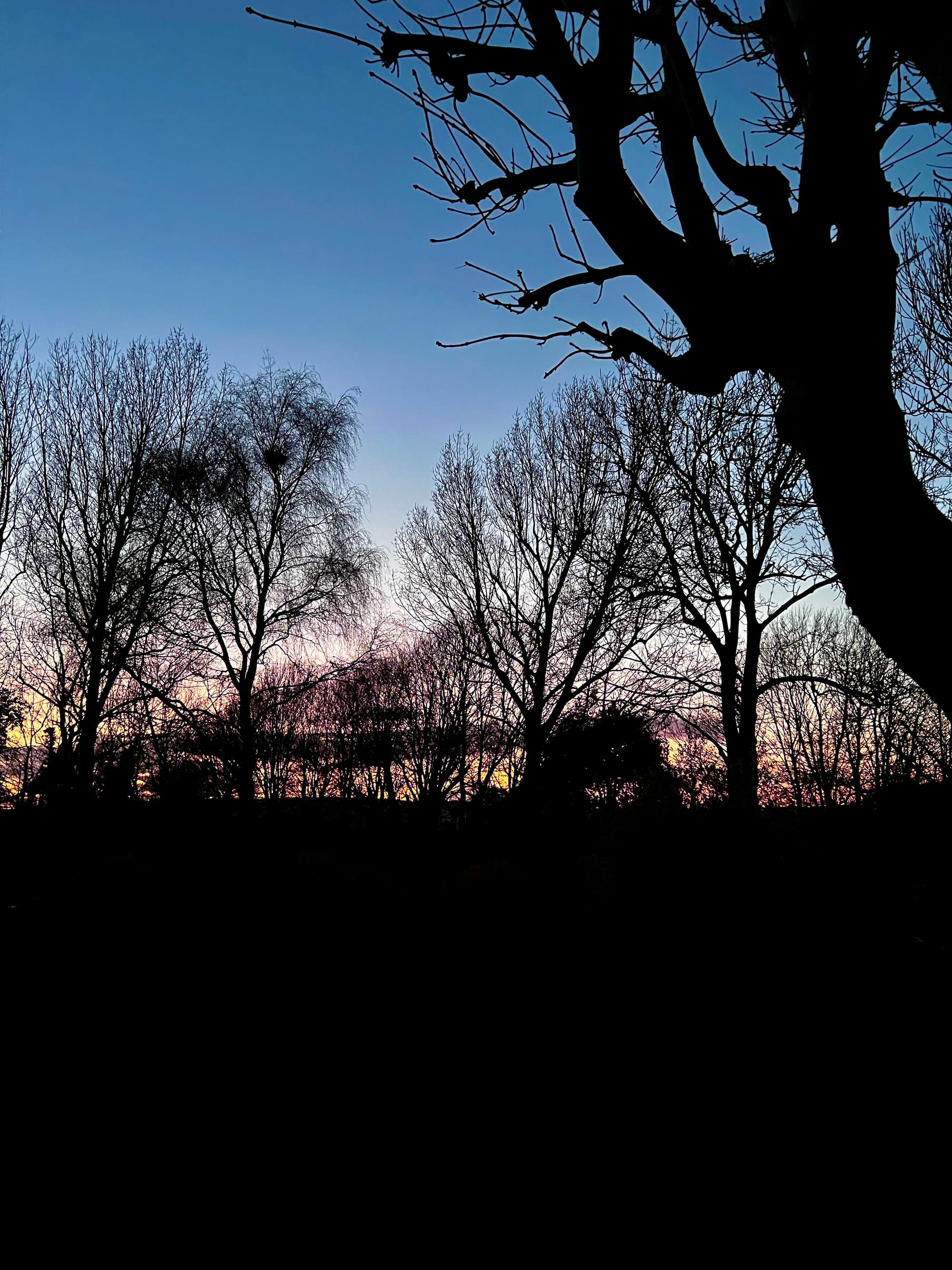 Beddingham Dusk