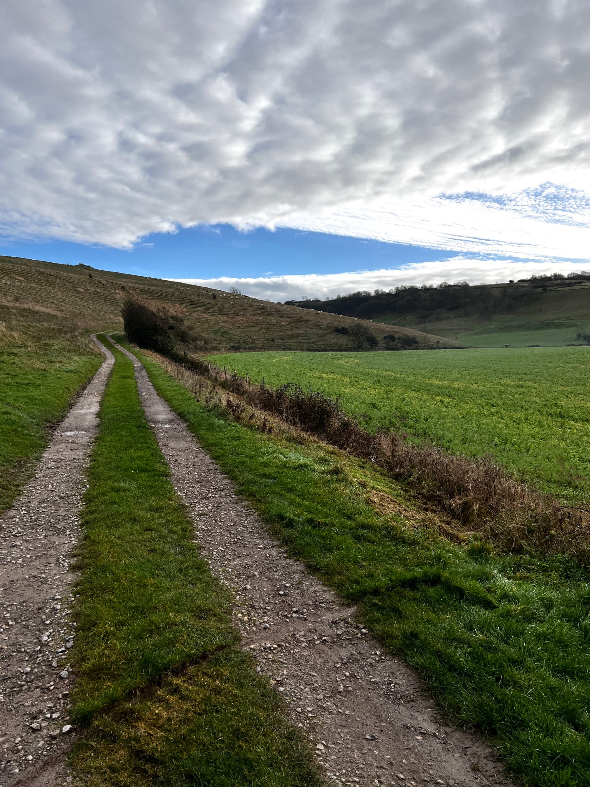 Phoenician Eye, Chapel Hill,  Litlington, East Sussex