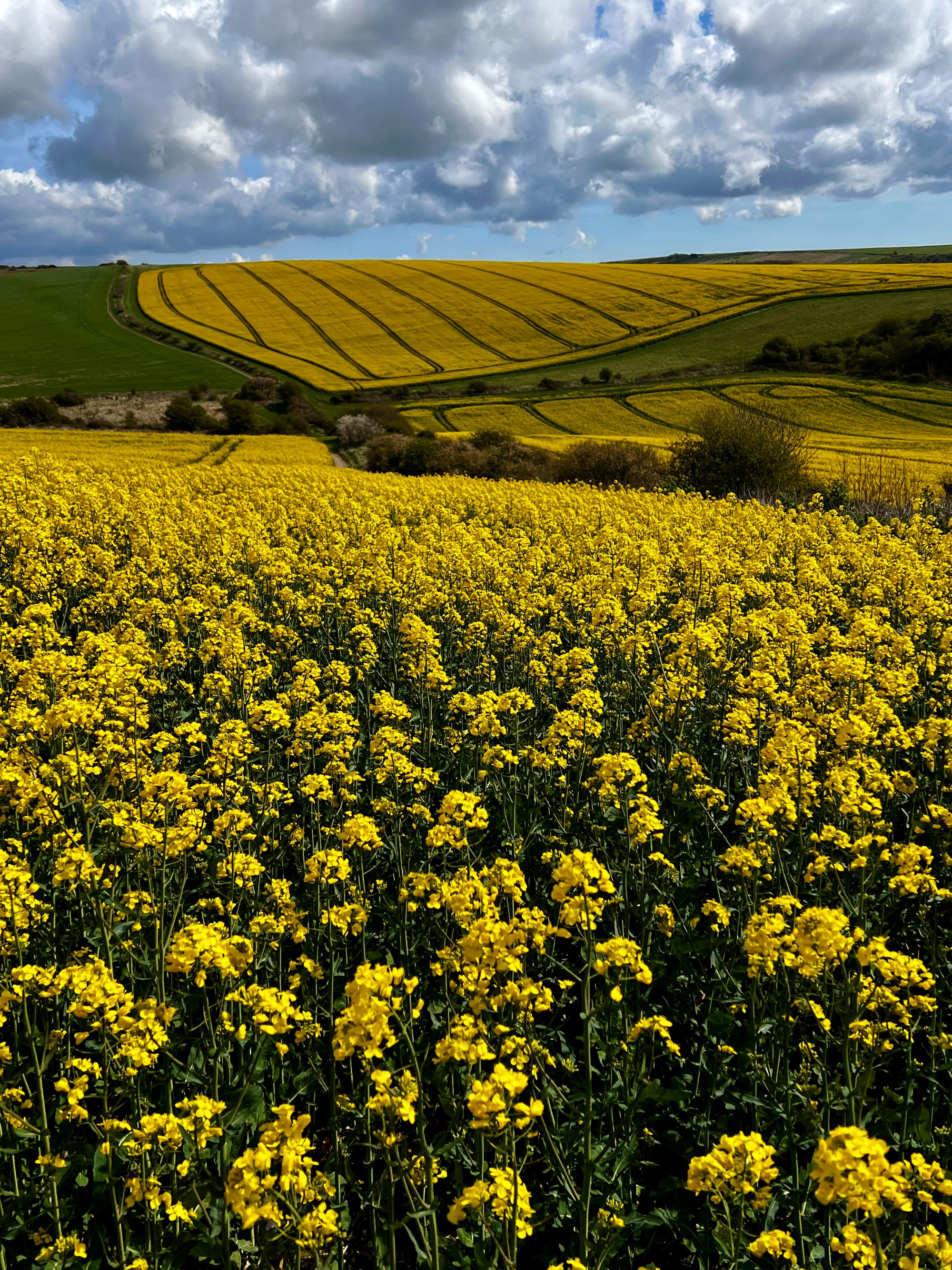 Rape everywhere! Gardener's Hill, East Sussex