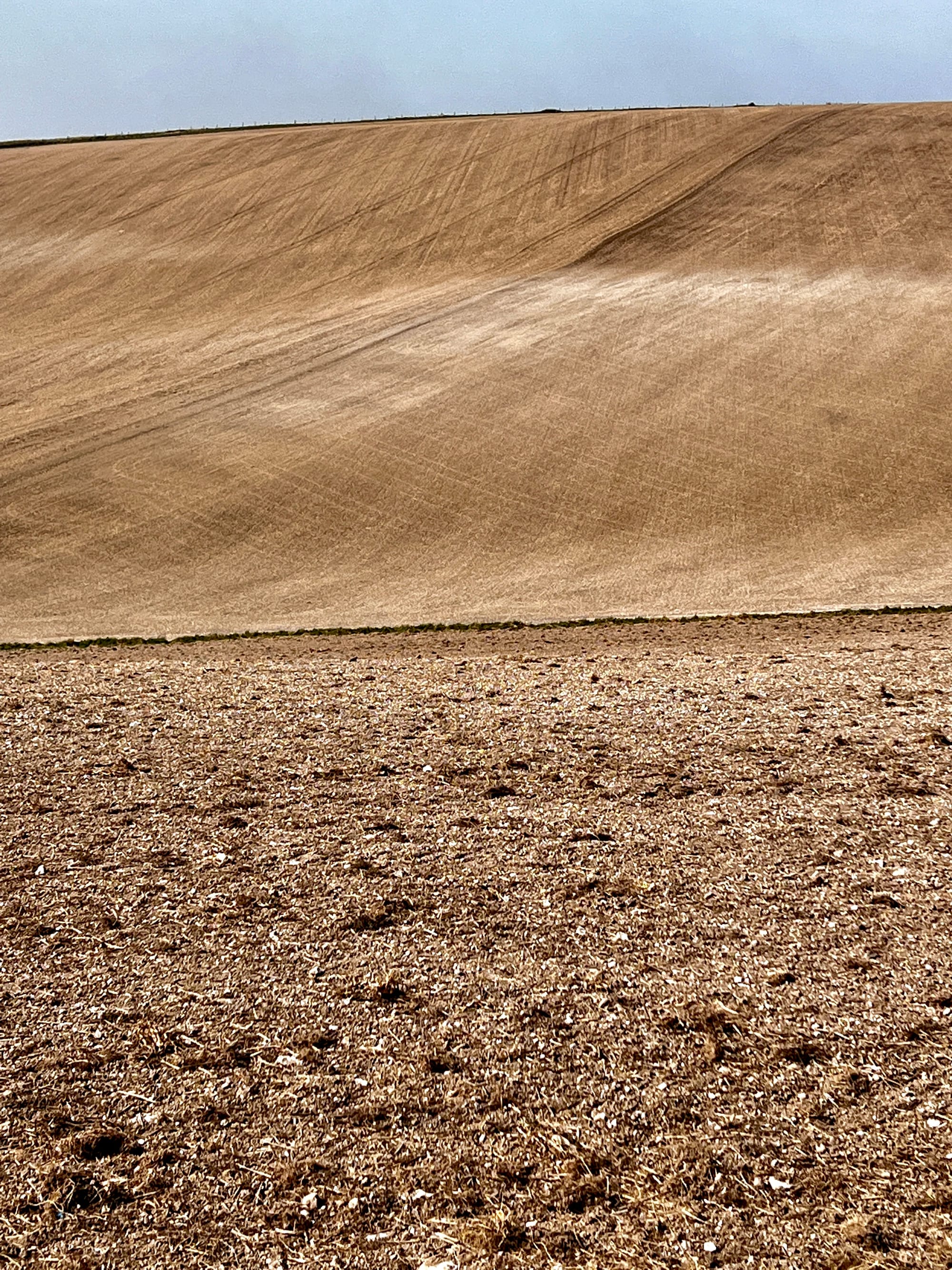 Criss-cross of spring sowing. Fore Hill, South Heighton, East Sussex