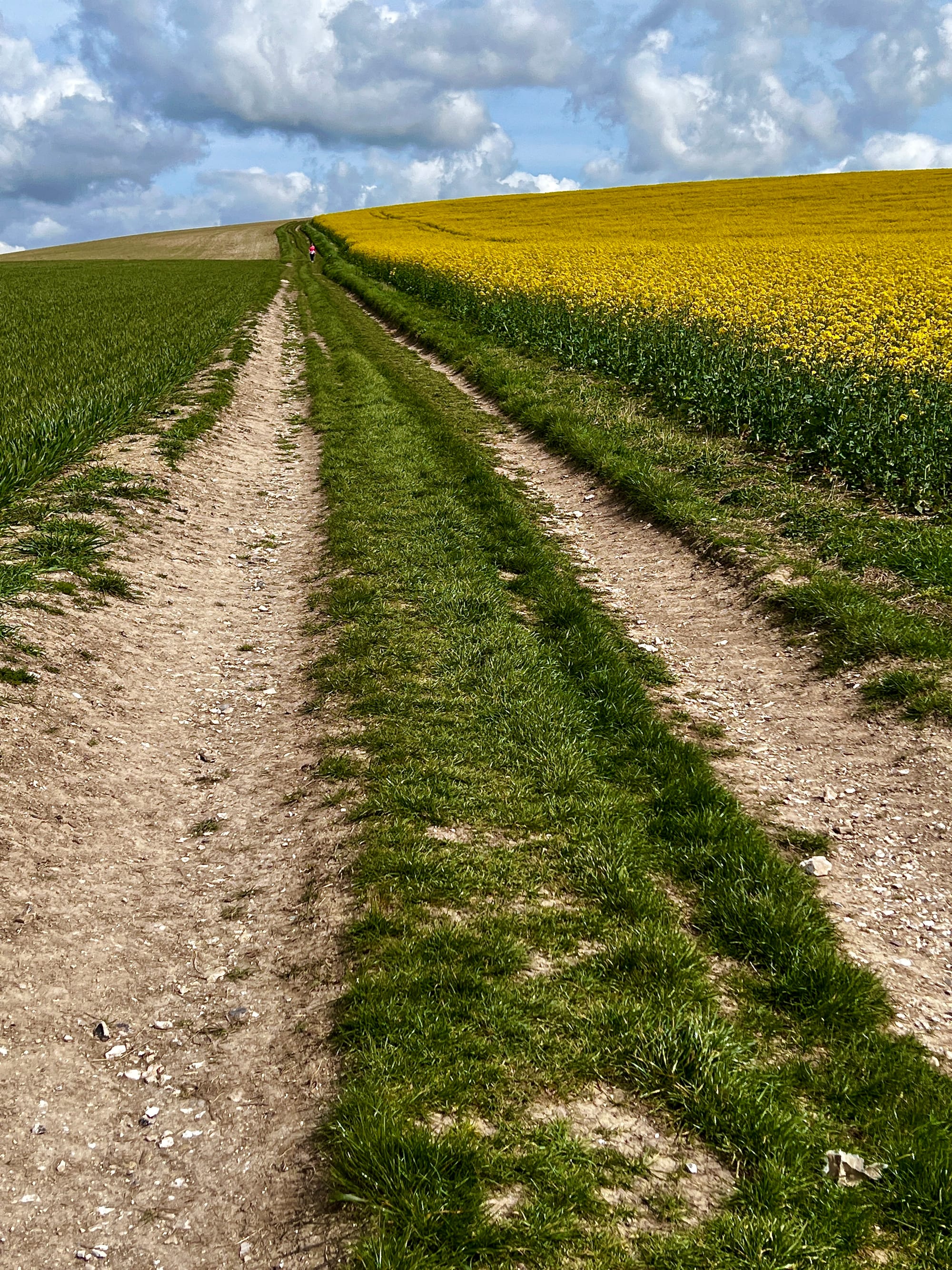 Walking The Walk. Snap Hill, East Sussex