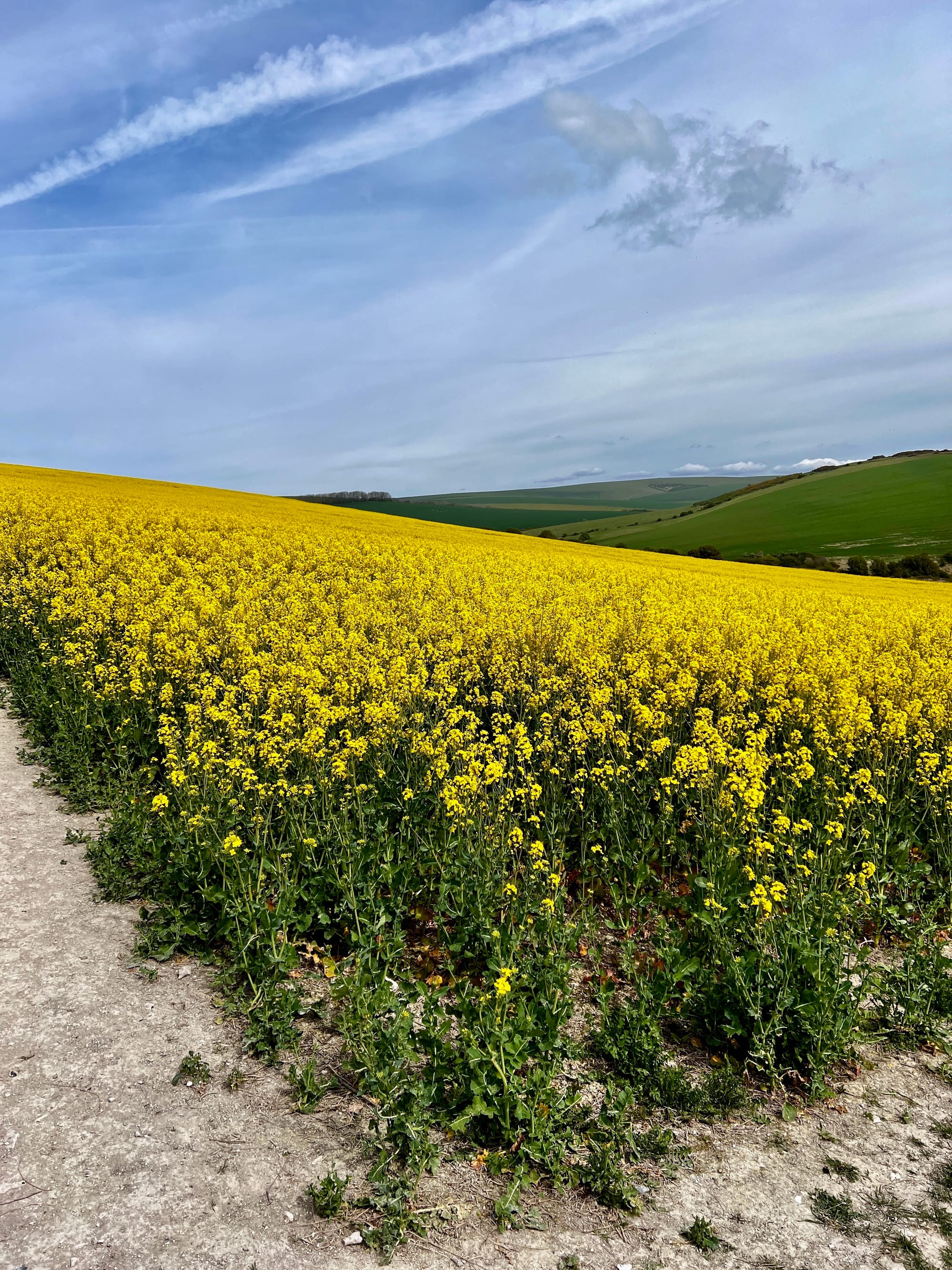 Gardener's Hill, East Sussex