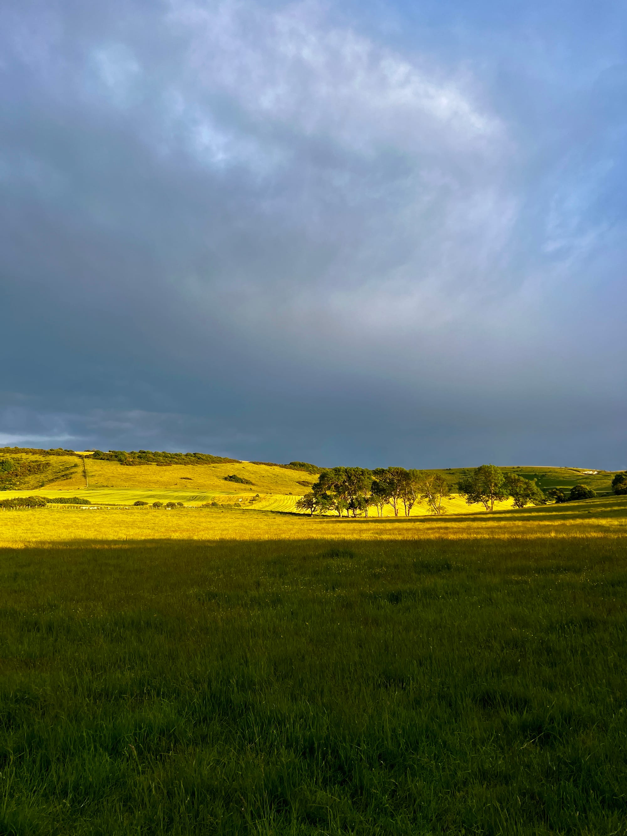 Forever Changing. Beddingham, East Sussex