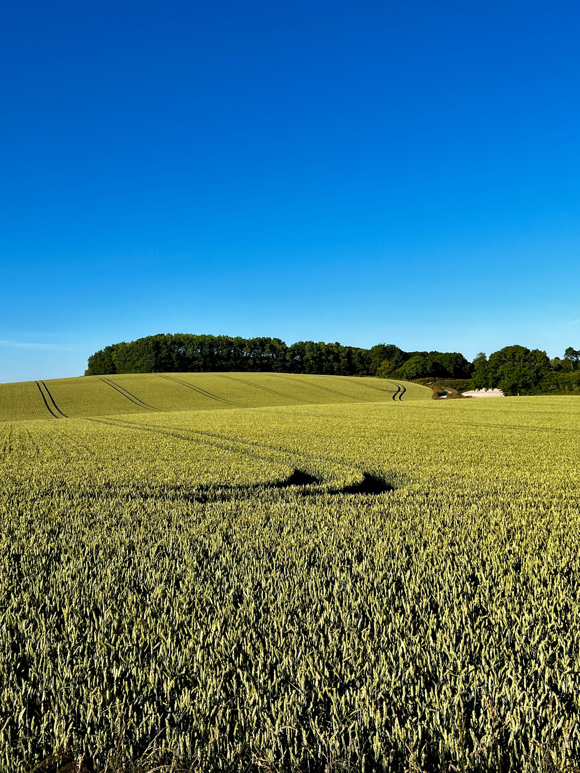 Berwick, East Sussex