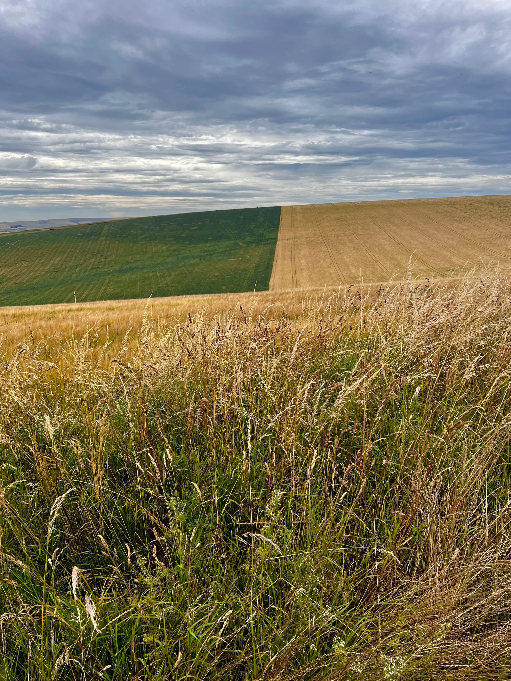 Snap Hill, East Sussex