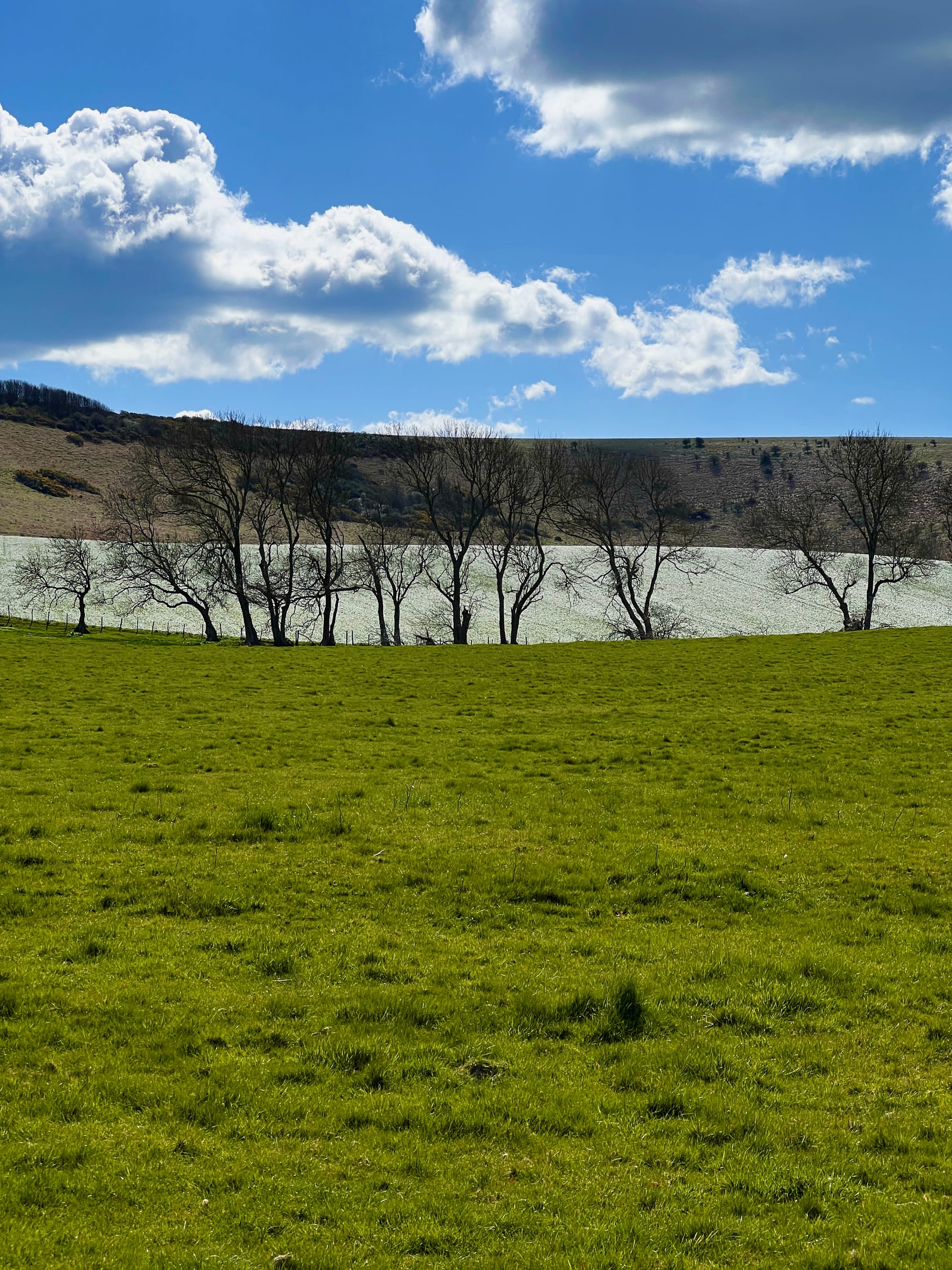 Blustery spring weather. Beddingham, East Sussex