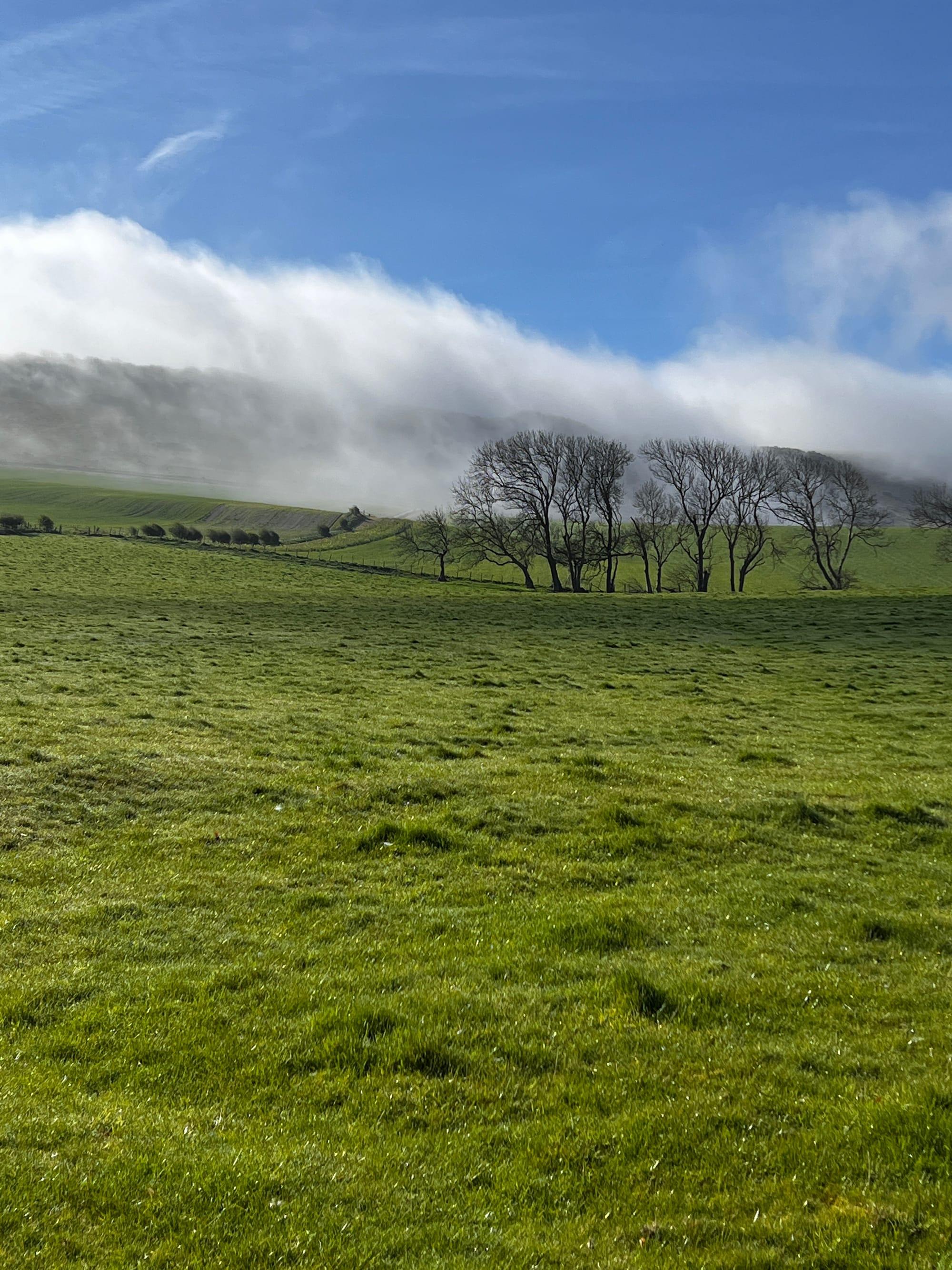 Orographic Cloud. Beddingham, East Sussex