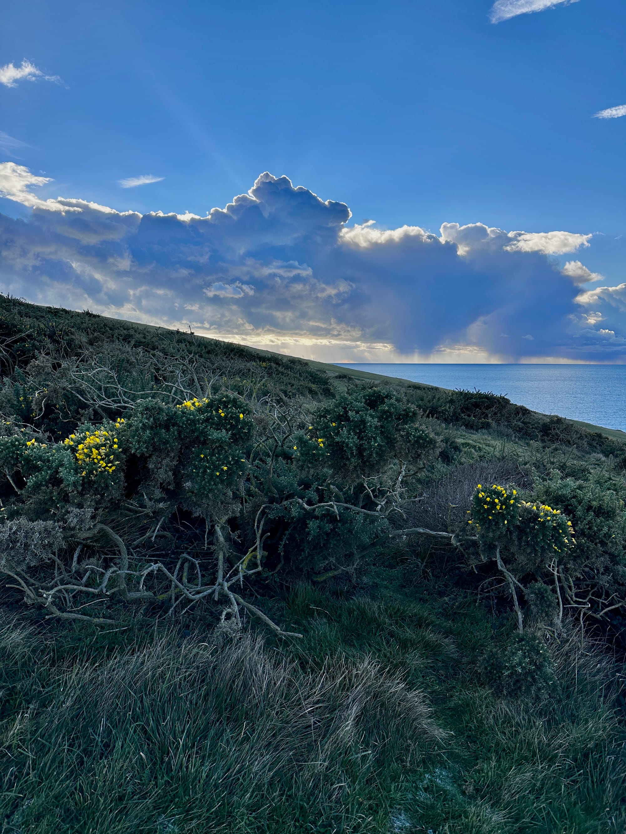 Crowlink, East Sussex