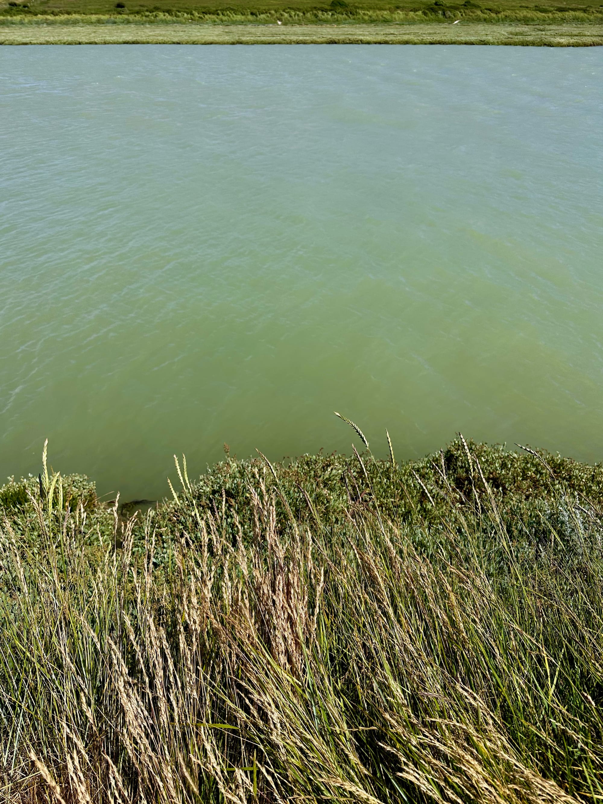 Cuckmere River