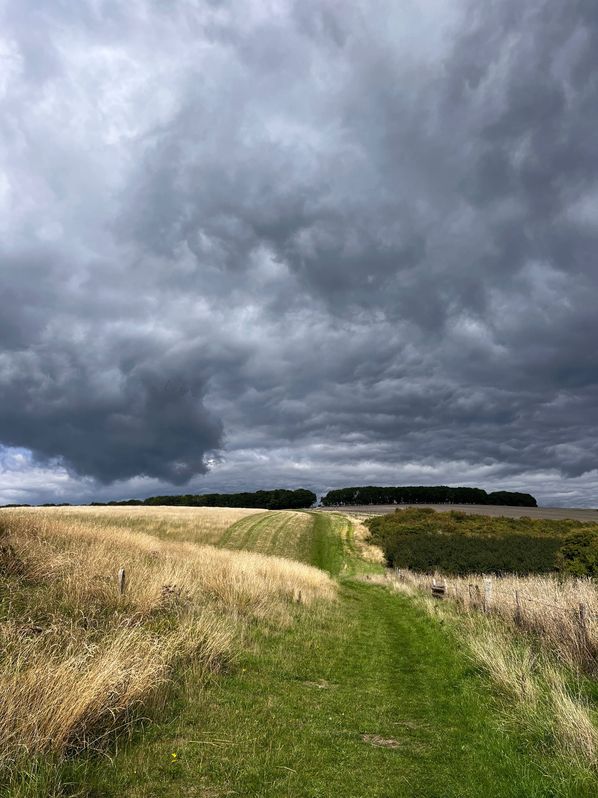 Blackcap Hill