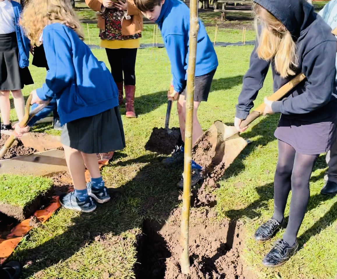 Tree Planting at Cannington Primary School