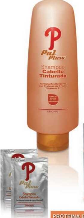 SHAMPOO CABELLO TINTURADO