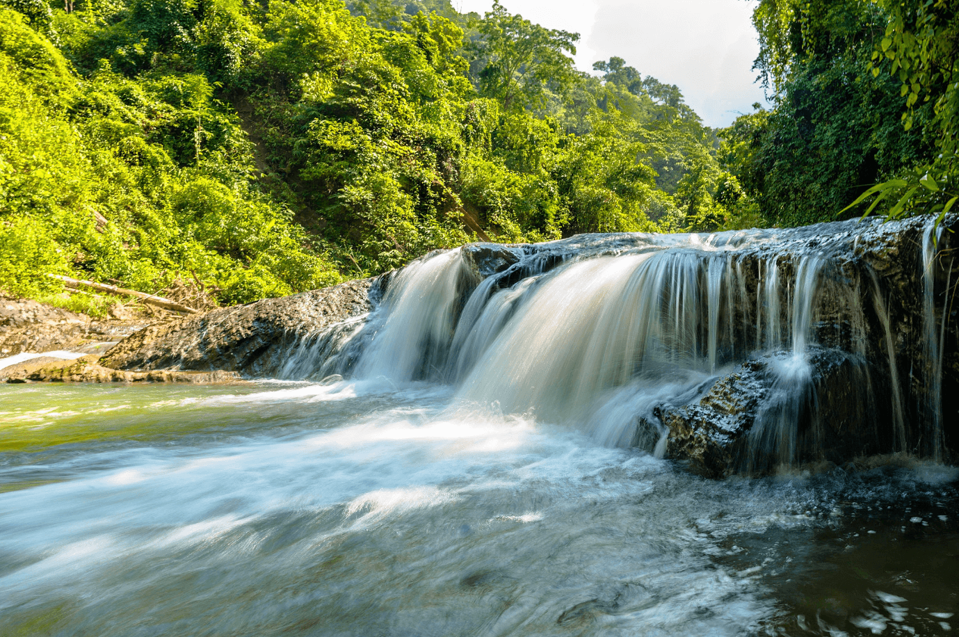 Looking after your Home and the Environment