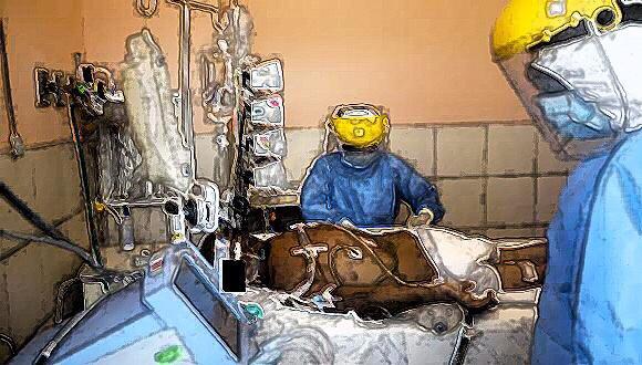 ¿A quién culpamos?