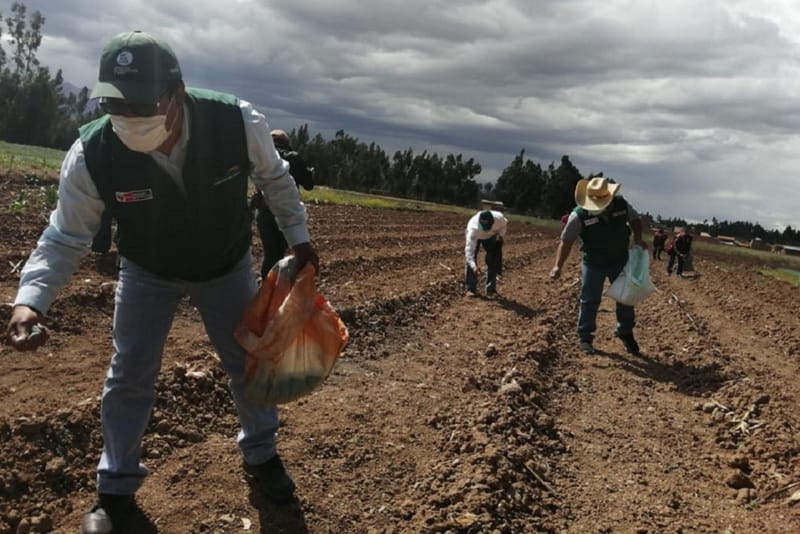 Ejecutivo promulgó nueva ley agraria, pese a considerarla “imperfecta”