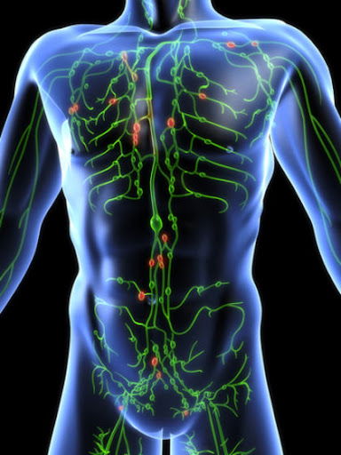 The Great Lymphatic System Healing Protocol - Dr. Robert Morse, N.D.