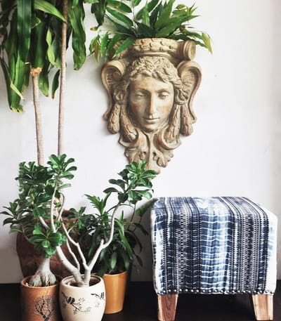 Shop Wall Planters Online For Your Walls in India