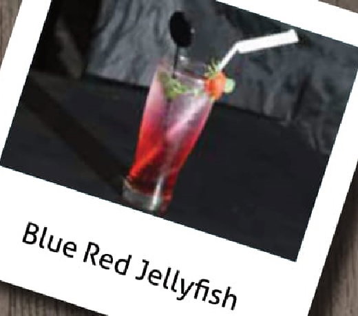 Blue Red Jellyfish