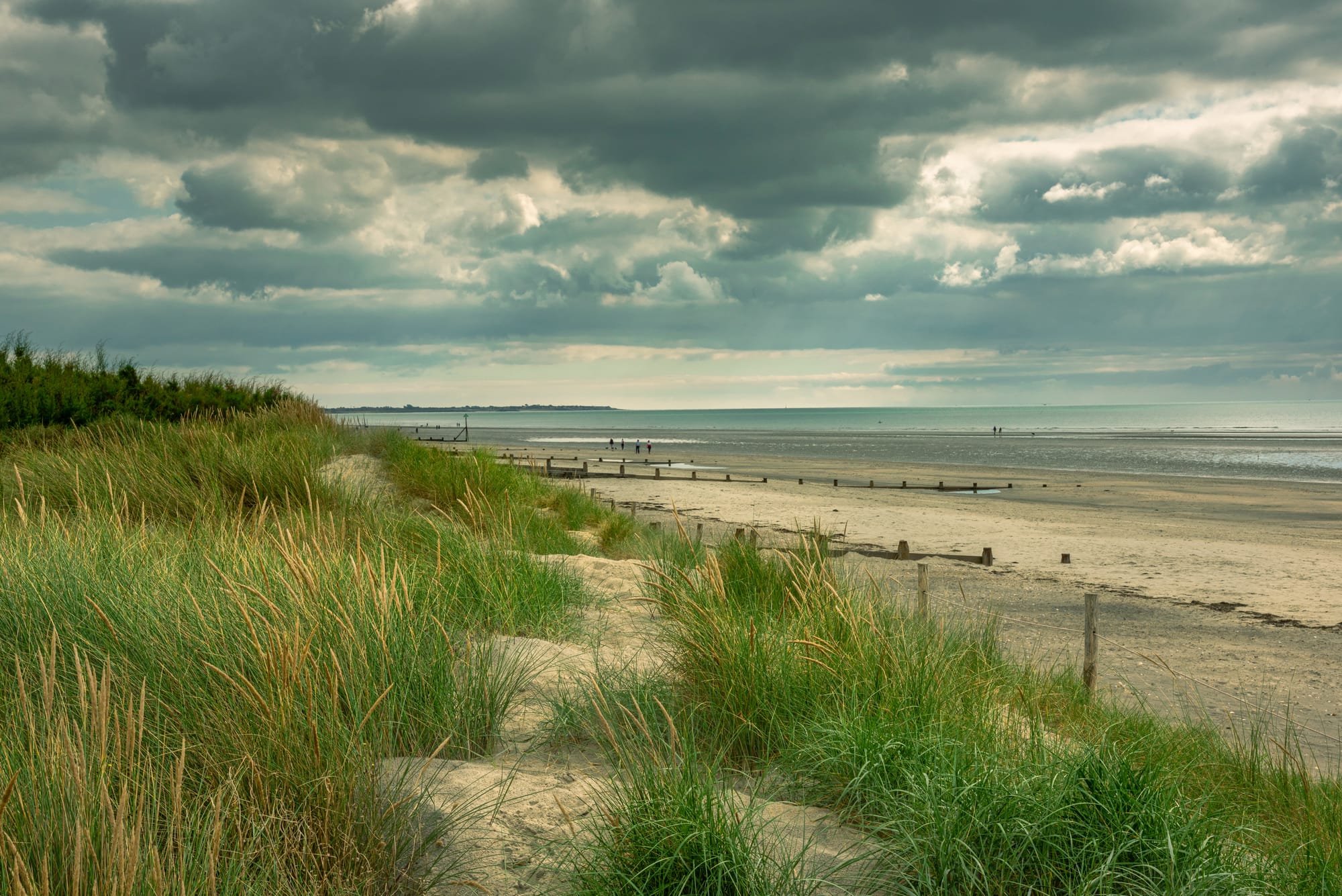 View from the dunes