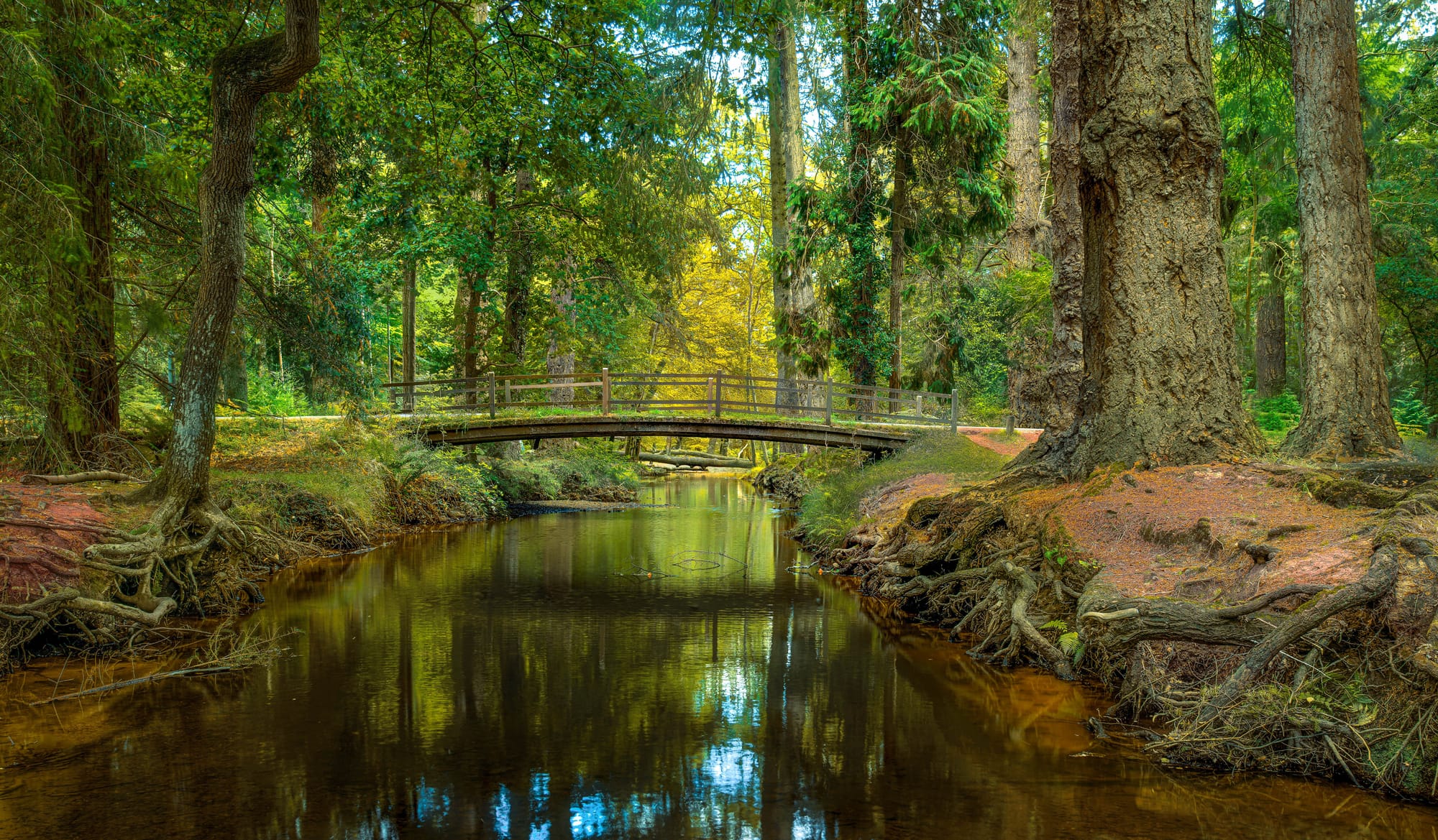 BlacK Water Bridge