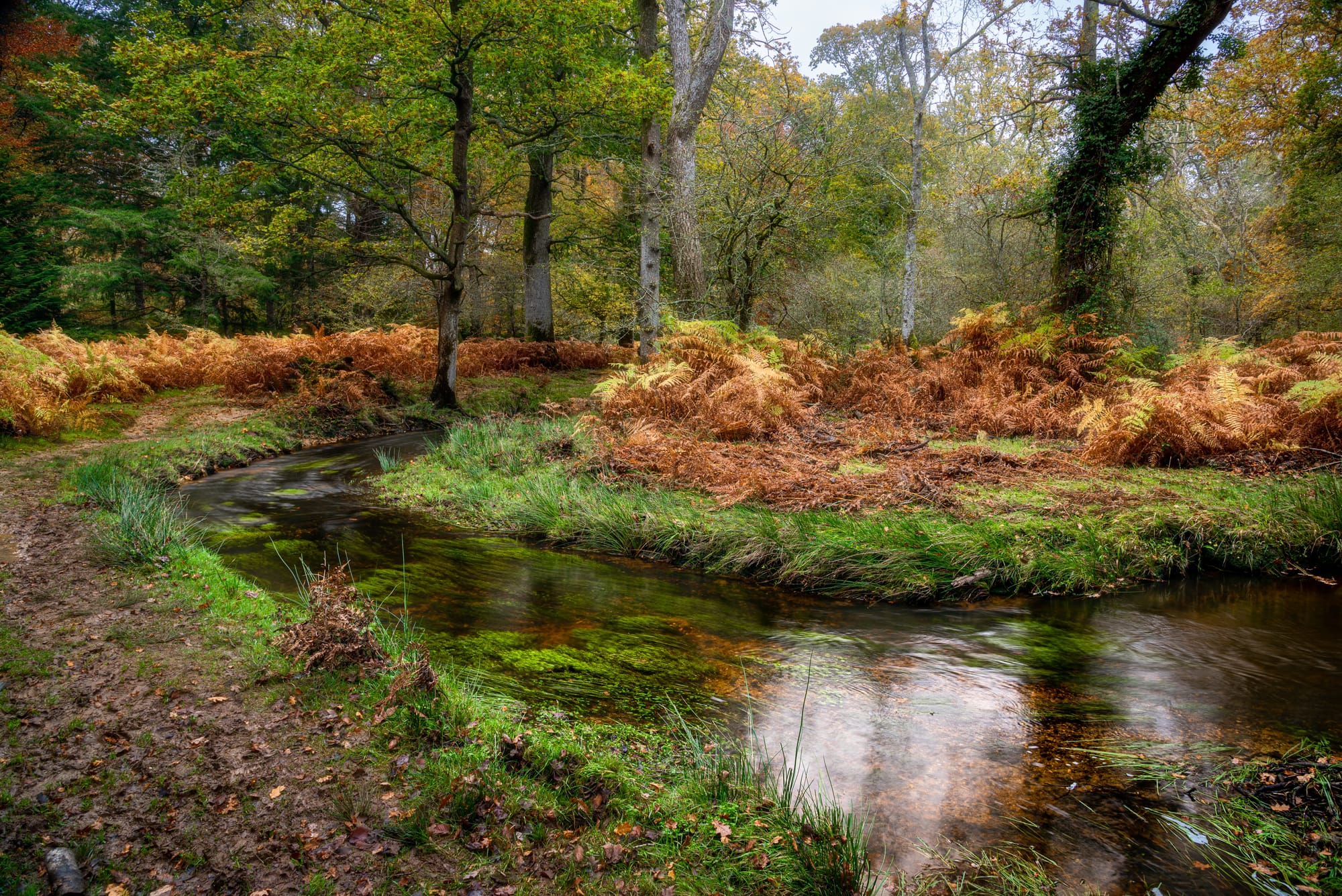 Bend in the river