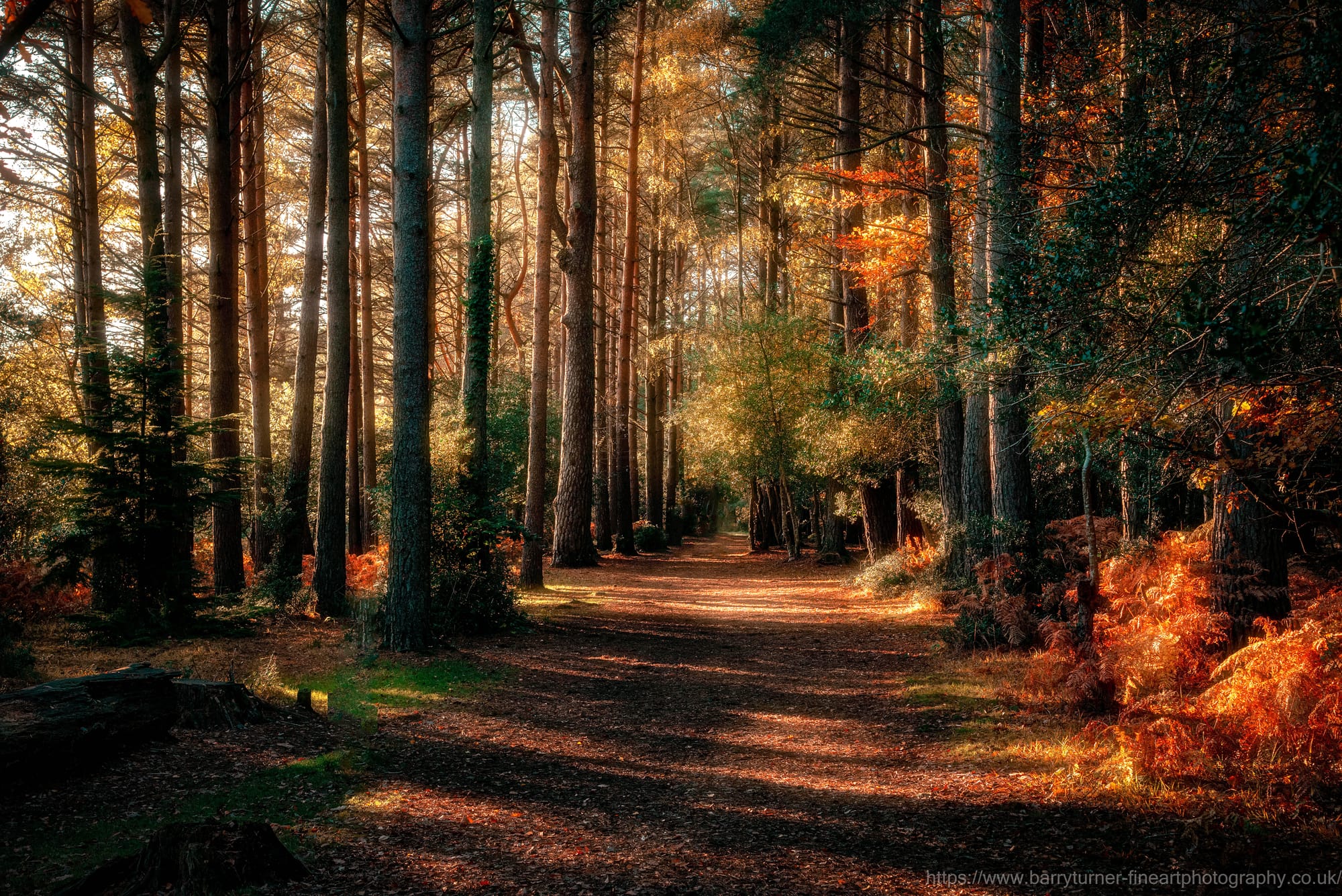 Golden path