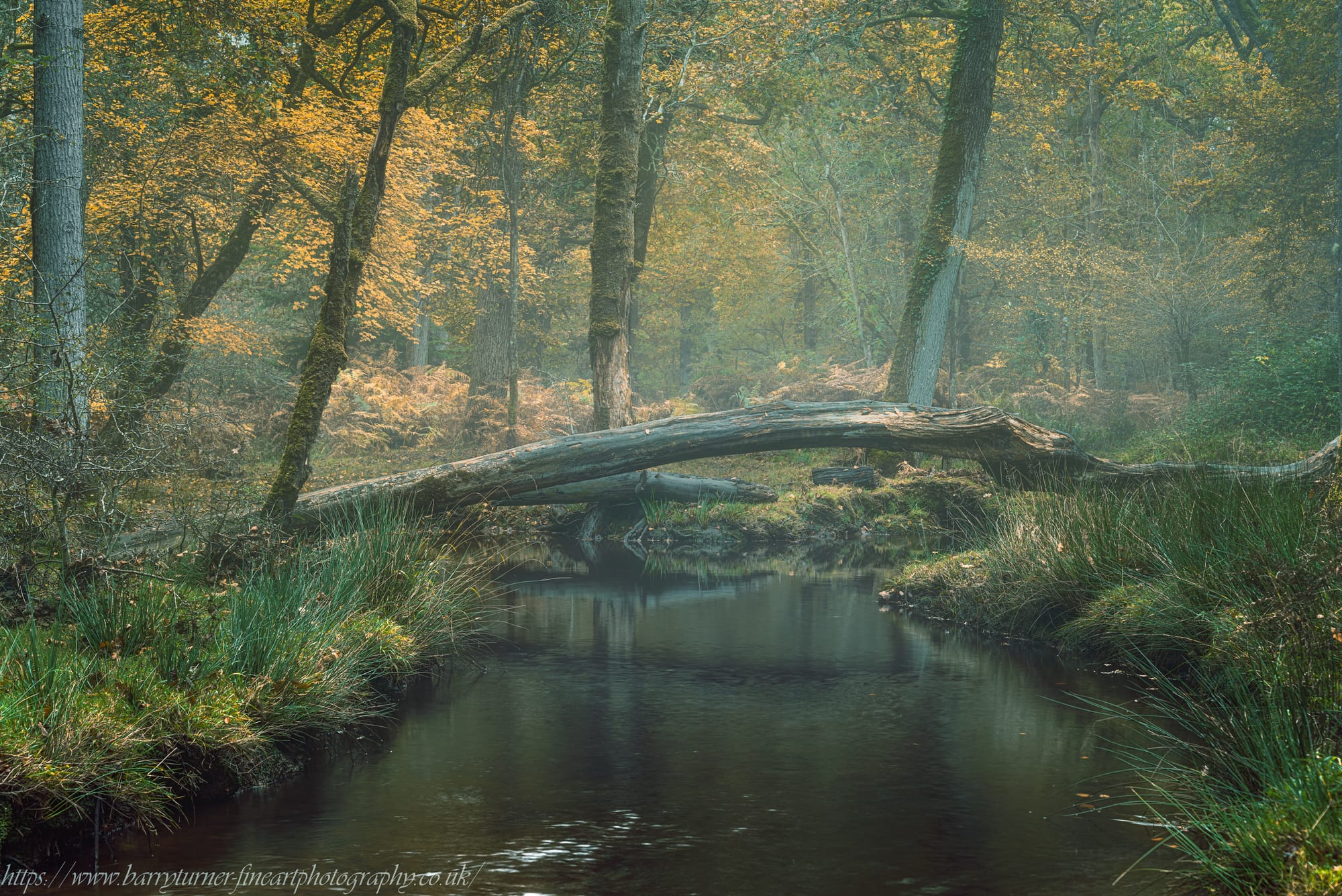 Misty waters