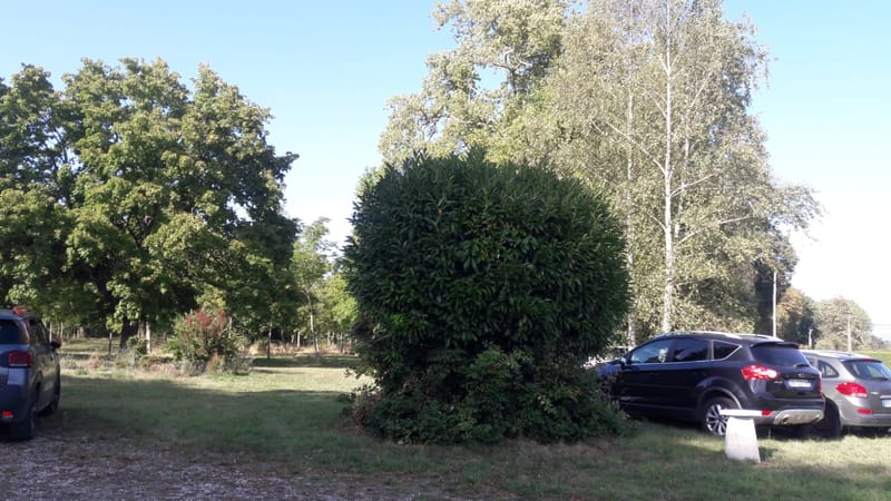 PIQUE NIQUE DETENTE AU CHATEAU DE LUZY