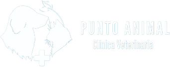 CLINICA VETERINARIA PUNTO ANIMAL