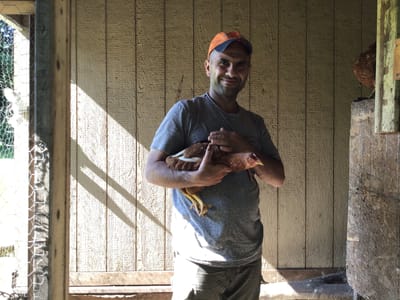 ABOUT HOMEMEDICS image