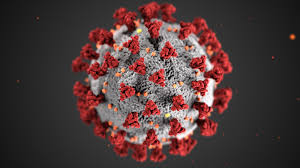 COVID-19 VIRUS PREVENTION AND TREATMENT
