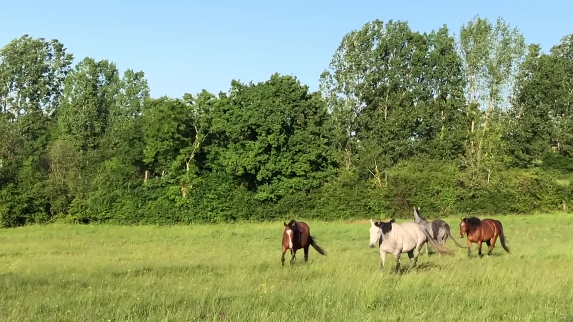 group relaxation that happiness