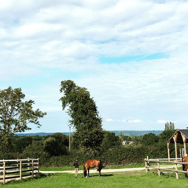 Horse pensions Deauville countryside