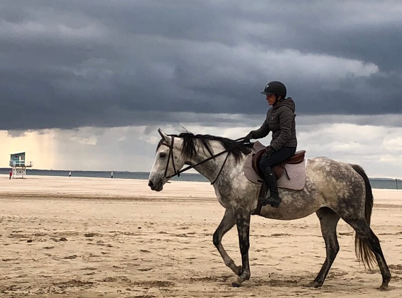 Norman countryside stroll, Deauville seaside stroll