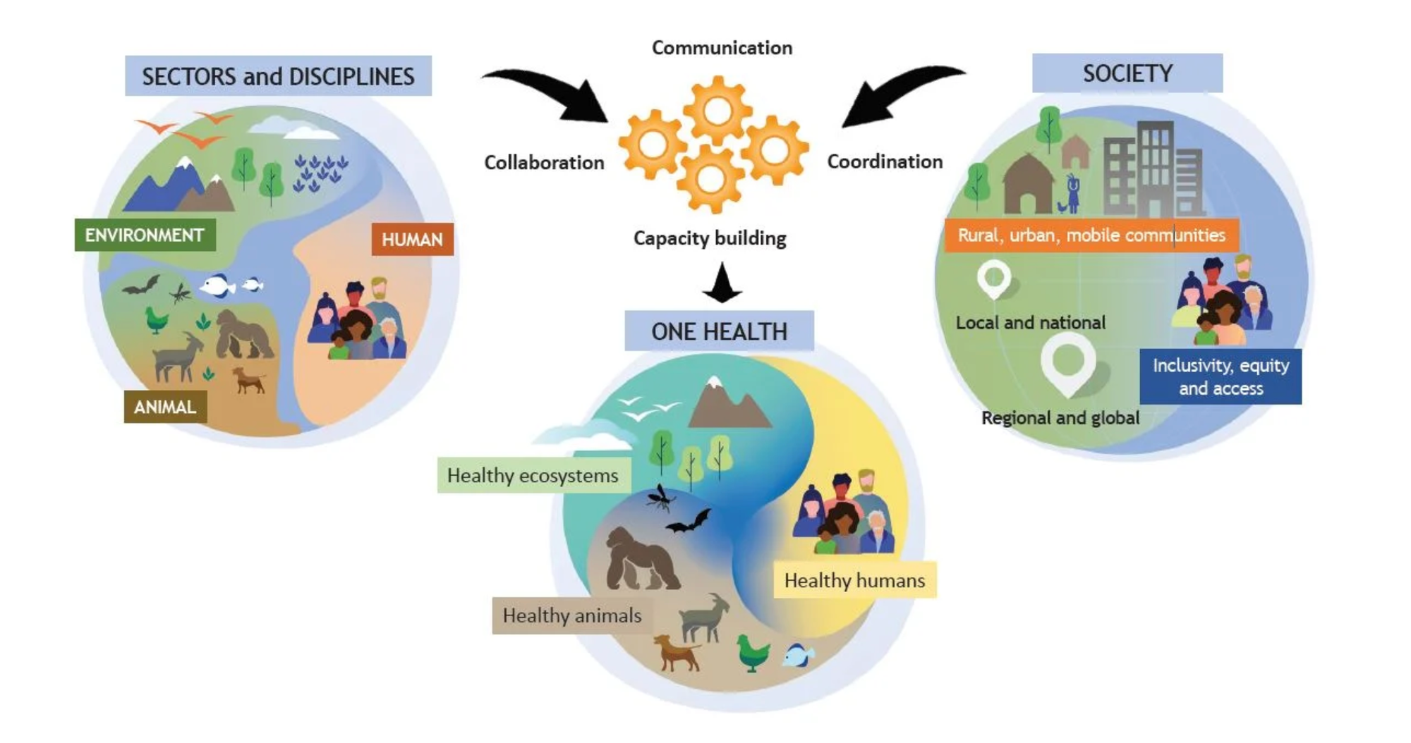 One Health : Une approche globale