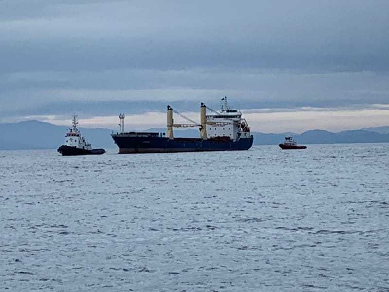 Cargo Ship "Lady Sham"