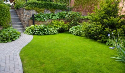 Tips for Hiring a Lawn Care Service